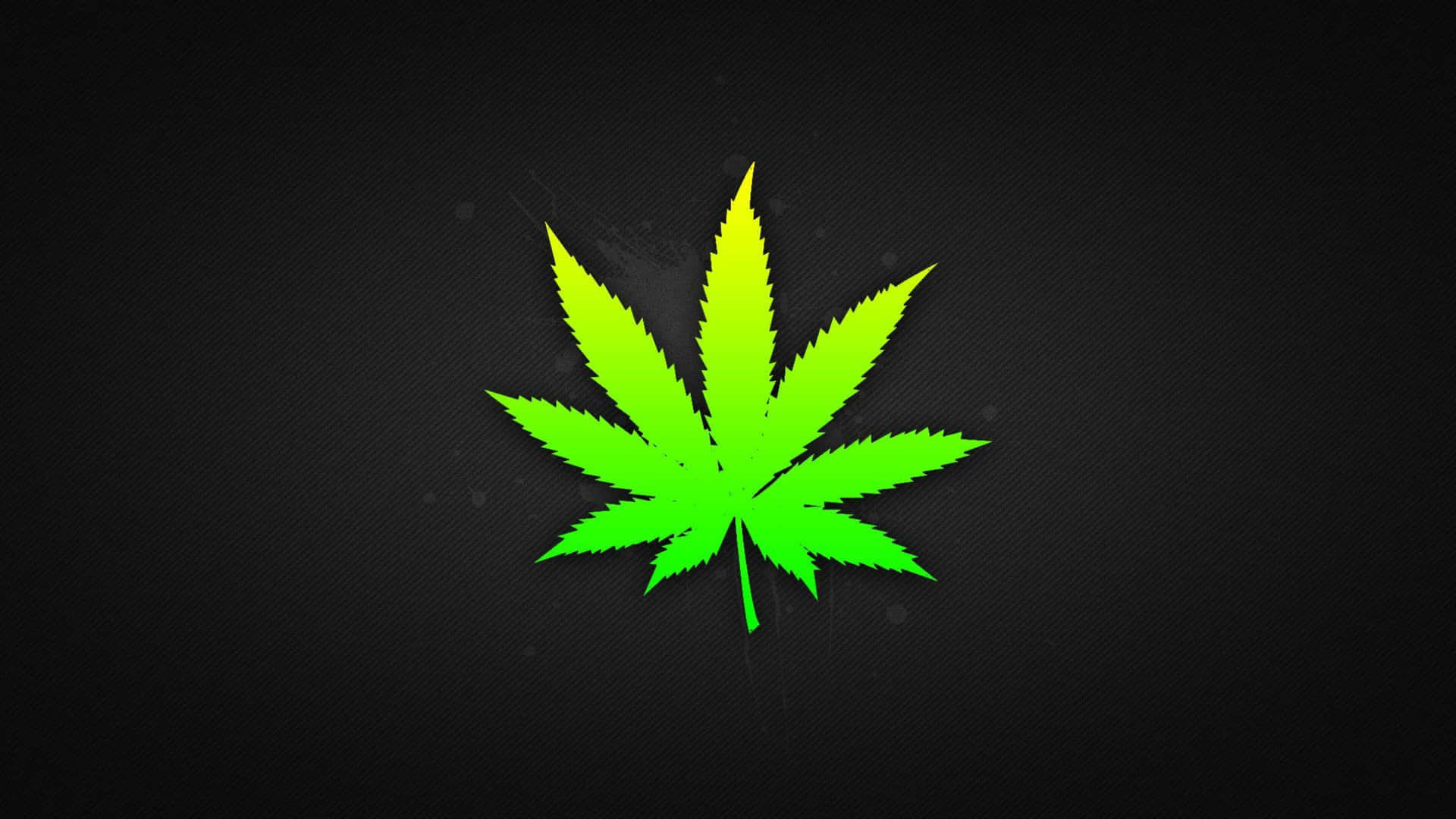 螢光綠色大麻葉在深色紋理背景上發光。