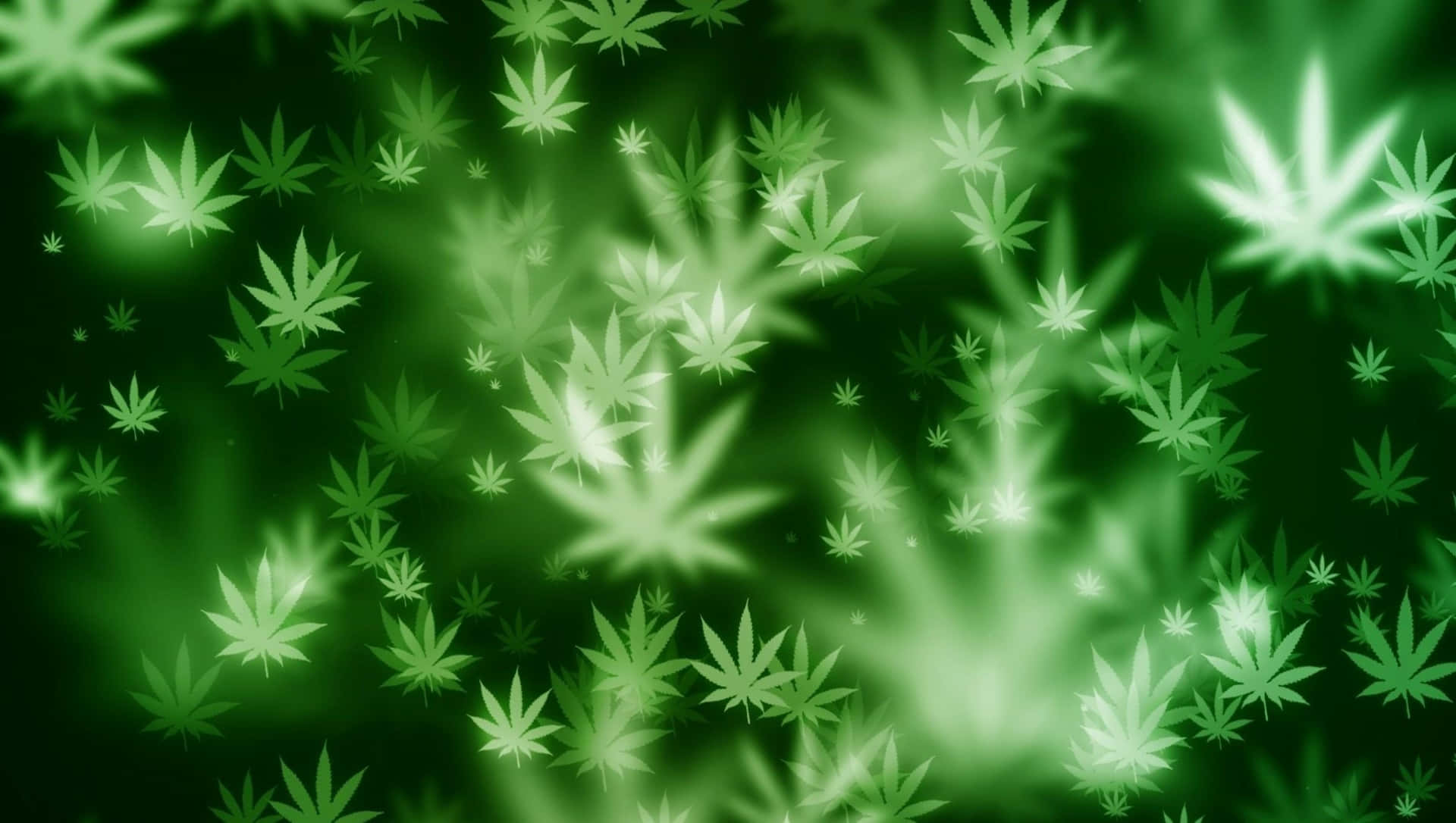 在柔和的漸變背景中漂浮的發光綠色大麻葉。 — 大麻 壁紙