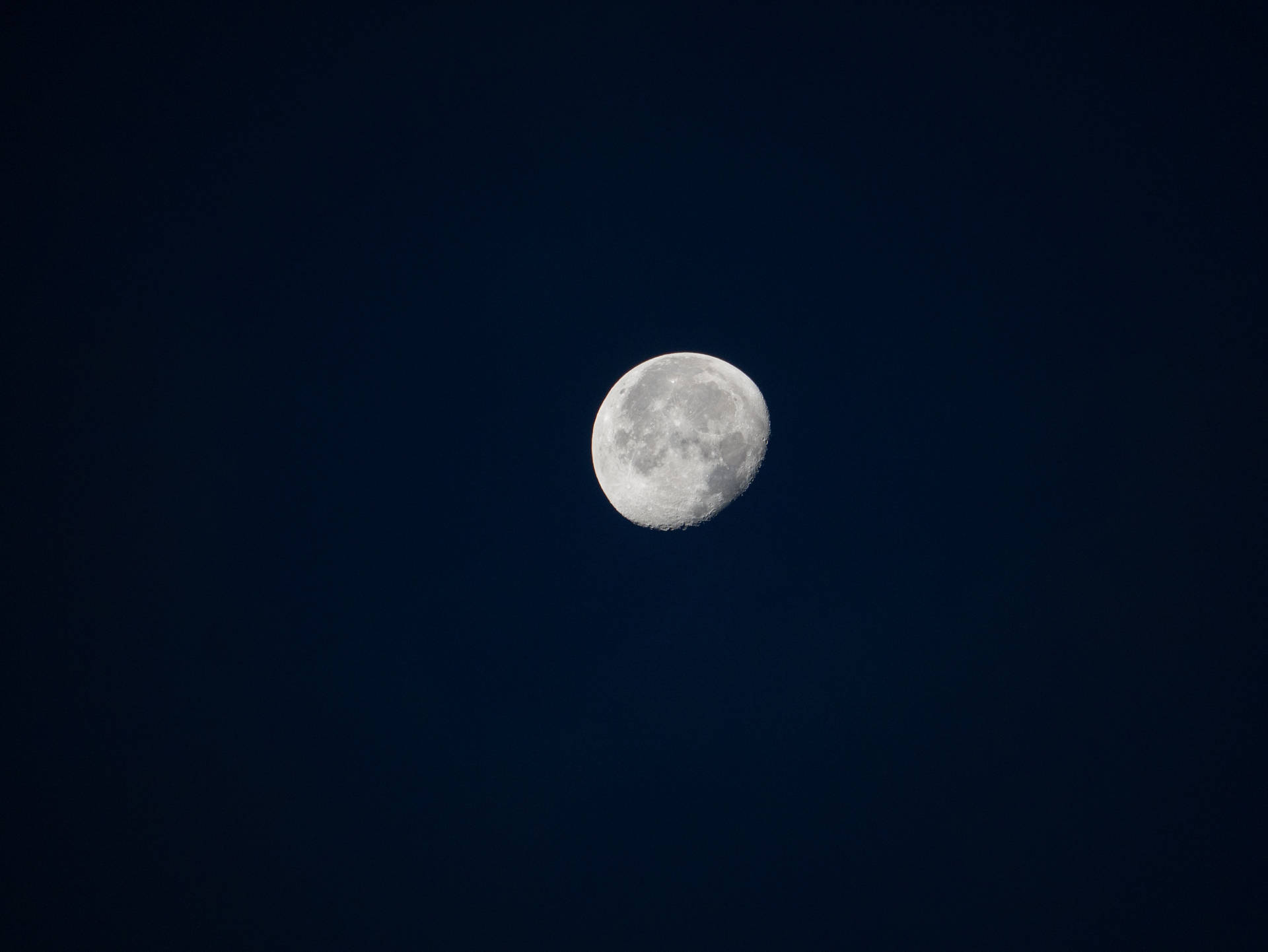 彎月在黑暗的夜空中閃耀。