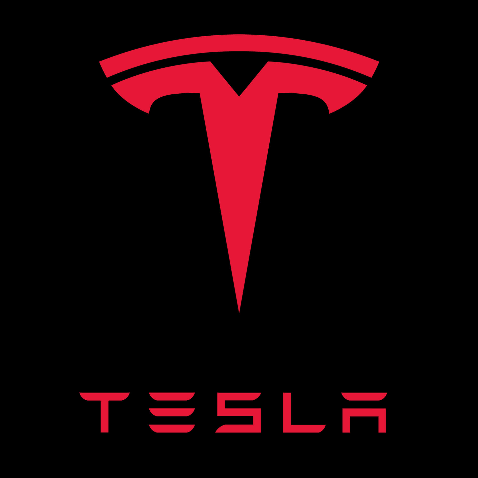 黑色背景上的紅色 Tesla 標誌，下方有品牌名稱。