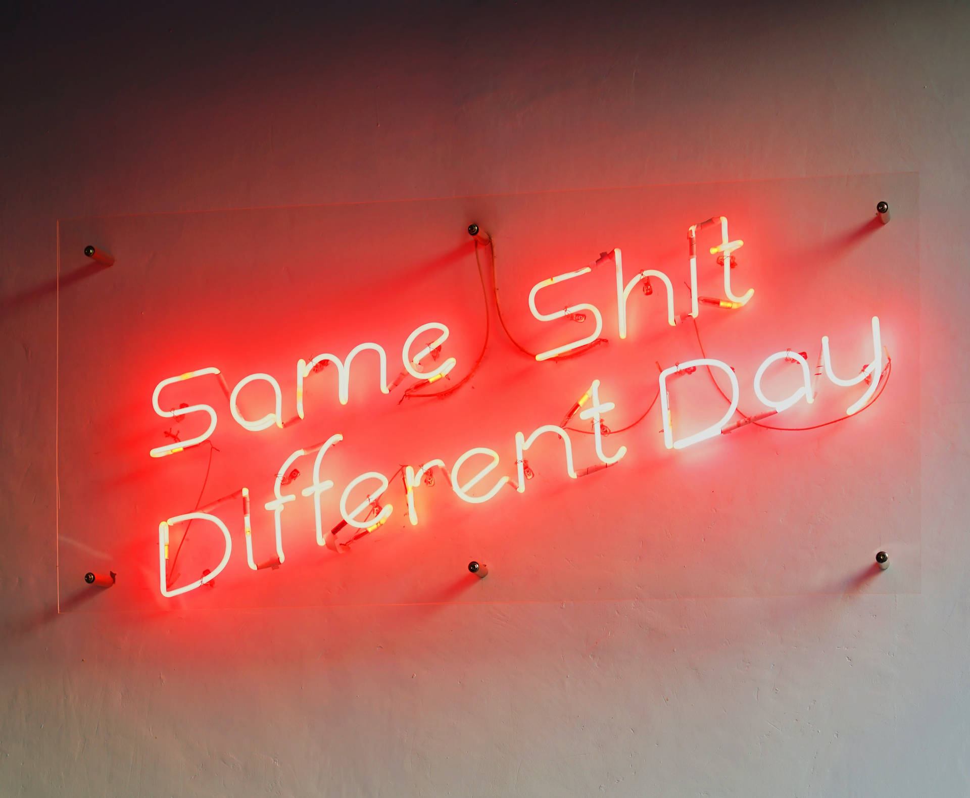 牆上帶有「Same Shit Different Day」文字的紅色霓虹燈牌。