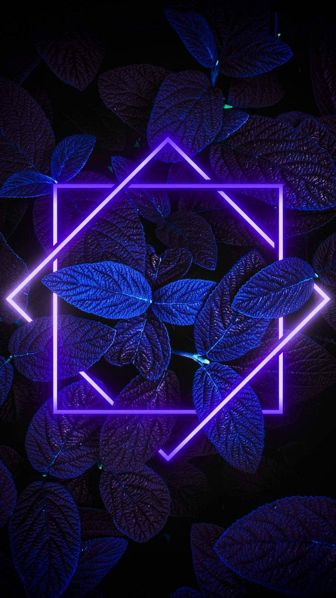 霓虹紫色幾何形狀以數位藝術風格疊加在深藍色葉子上。