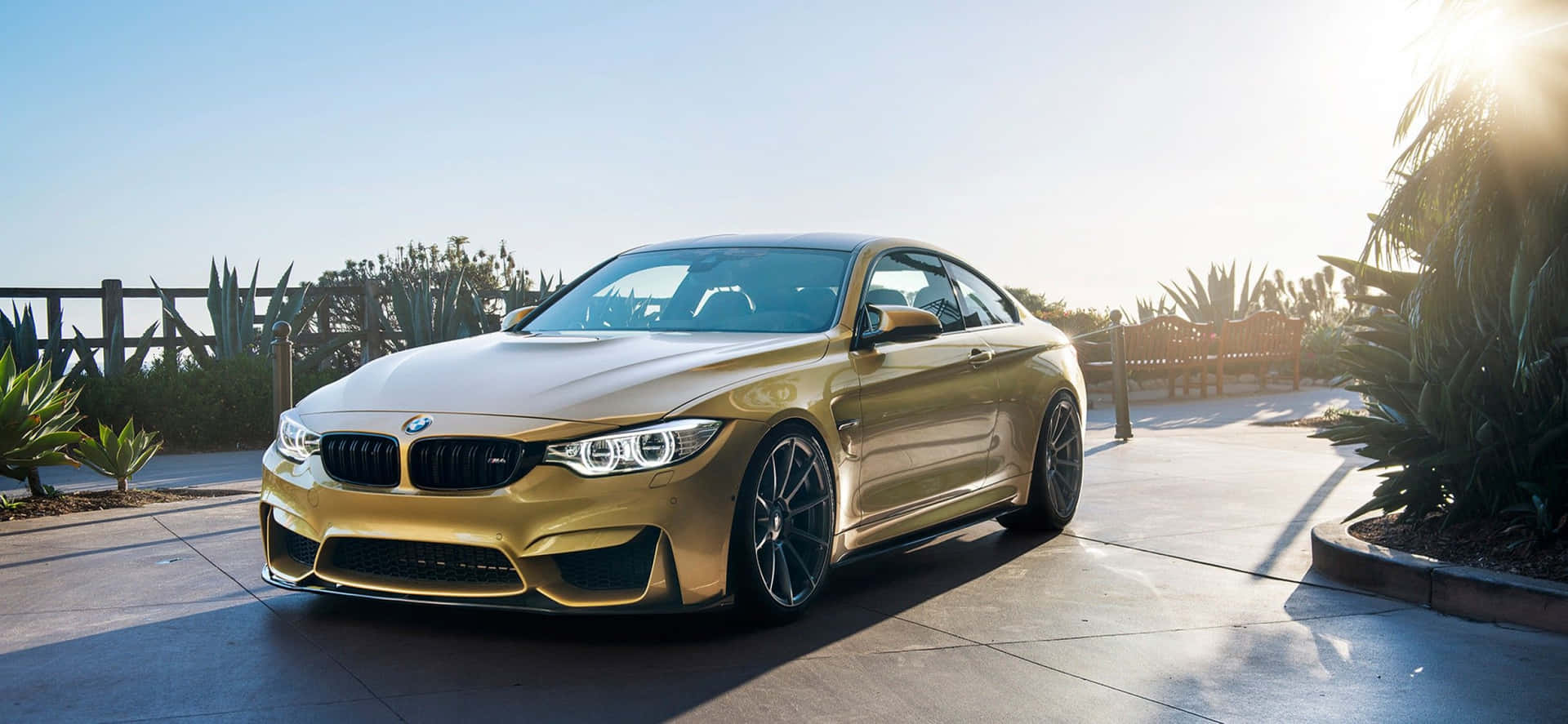 金色BMW M4跑車在日落時分停泊在沙漠環境中。