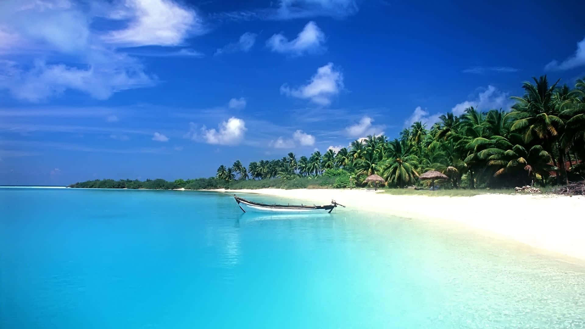 熱帶海灘，有棕櫚樹和船隻，在藍天下碧綠的海水中。