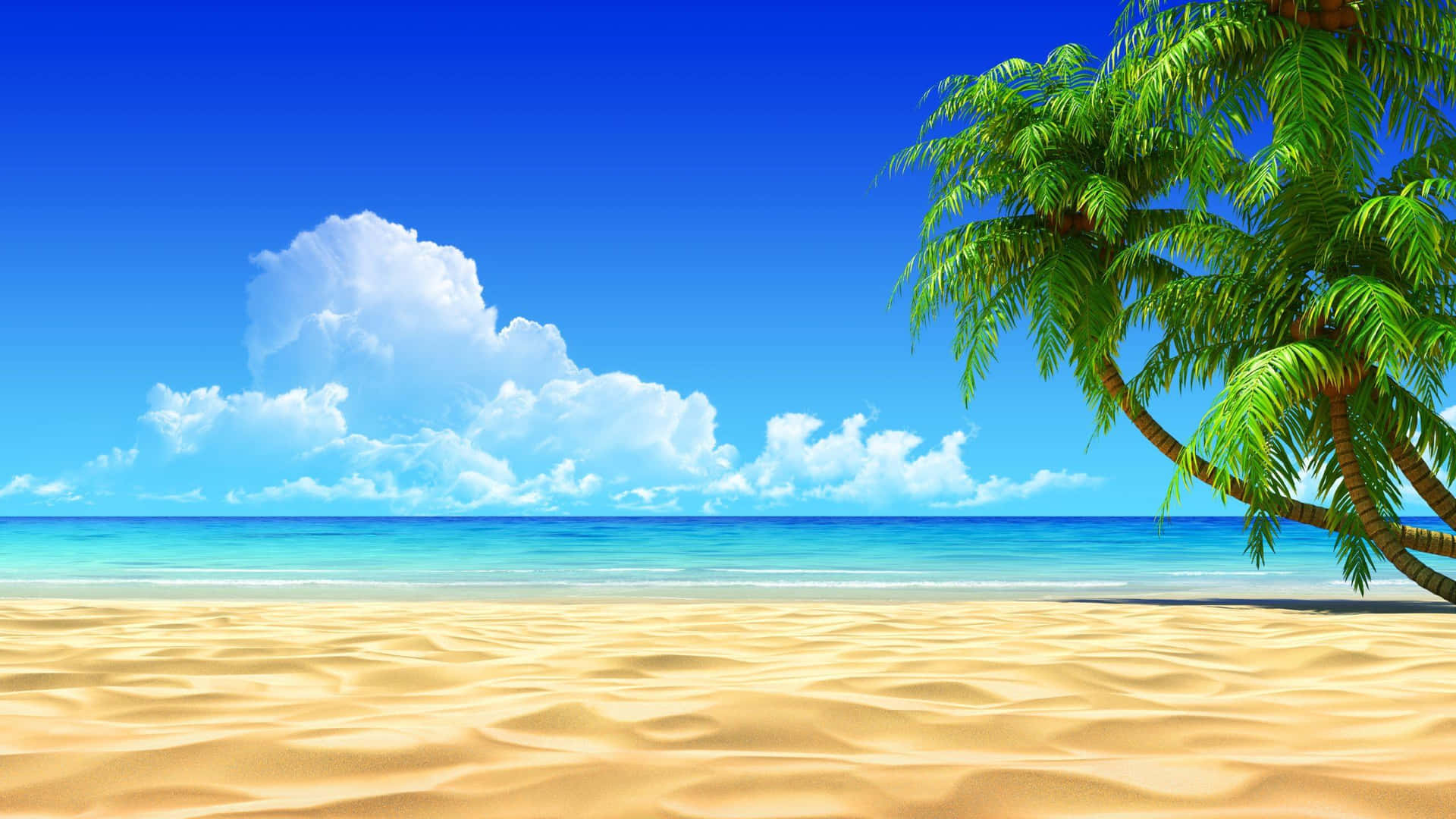 熱帶海灘，有棕櫚樹、海洋和藍天
