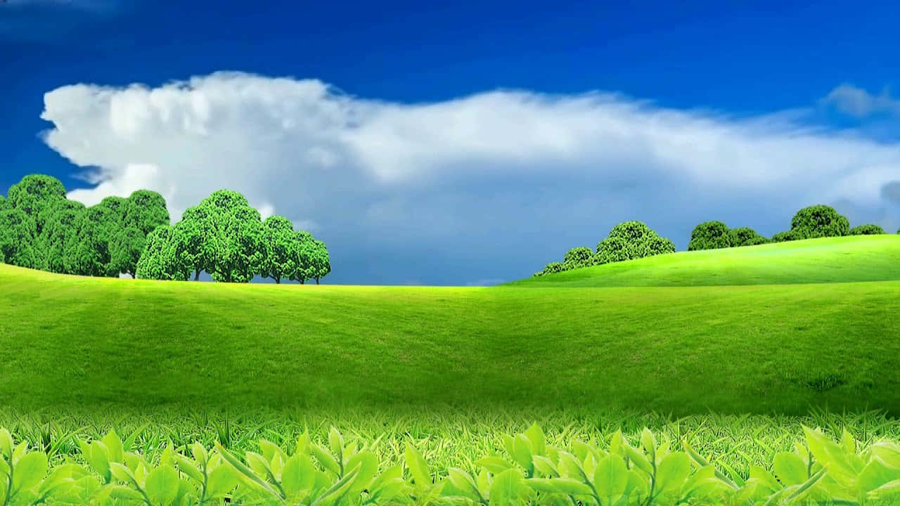 720p自然天空雲朵背景 壁紙 — 充滿活力的起伏綠色山丘，點綴著茂密的樹木，在明亮的藍天下有蓬鬆的白雲。