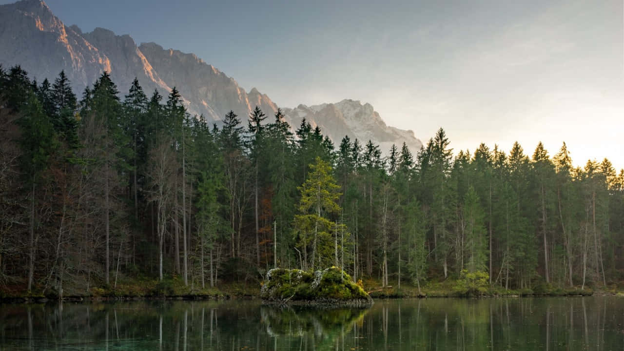 720p自然高大綠樹背景 壁紙 — 一個寧靜的湖泊在柔和的金色日出下，映照出高聳的山脈和茂密的松樹林。