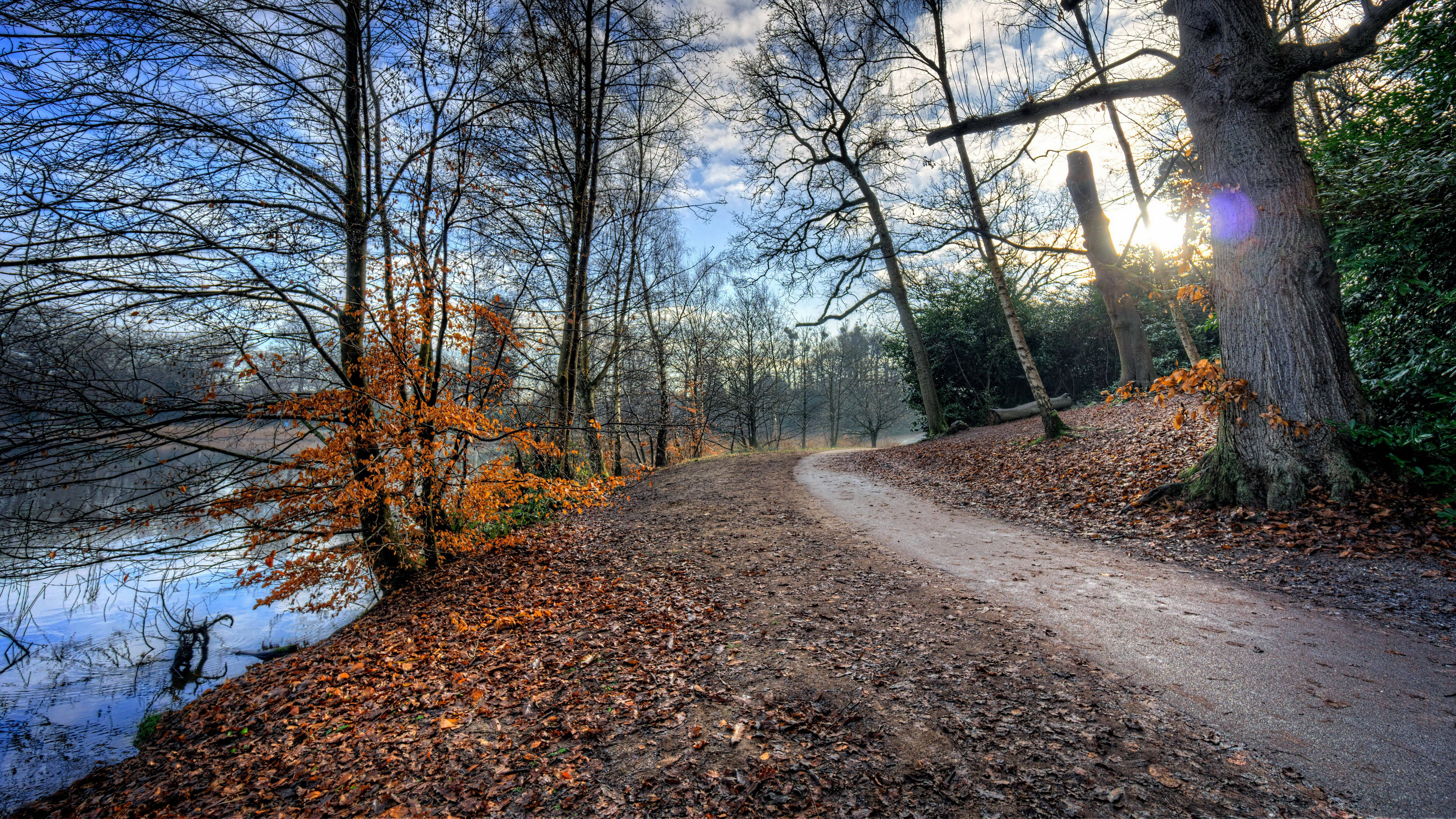 8K 7680x4320 超高清解析度桌面河岸小徑 壁紙 — 一條蜿蜒的泥土小徑，覆蓋著落葉，在明亮的藍天下，沿著平靜的湖泊彎曲，旁邊是光禿禿的樹木。