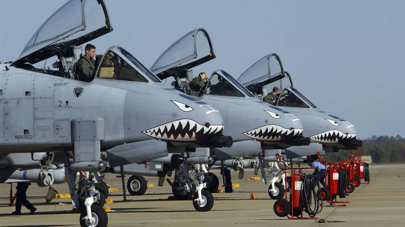 四架帶有鯊魚臉塗裝的軍用噴射機停在機場上，內部有飛行員。 — 鯊魚 GIF 壁紙