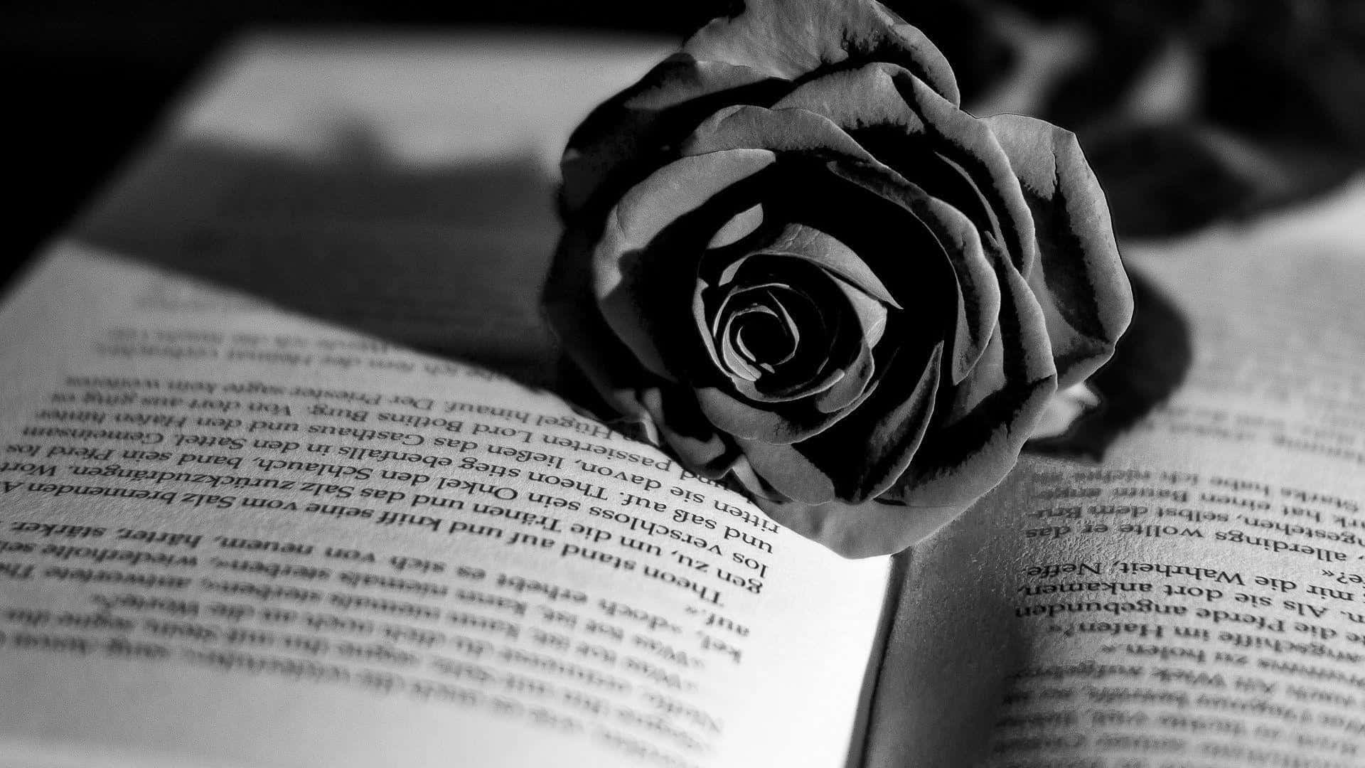 Dark Book Aesthetic 桌布 壁紙 — 一朵黑白玫瑰精緻地放在一本有德文文字的打開書本頁面上。
