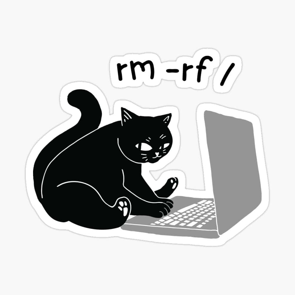  壁紙 — 一隻黑貓坐在手提電腦上，帶著頑皮的表情輸入 rm -rf /。