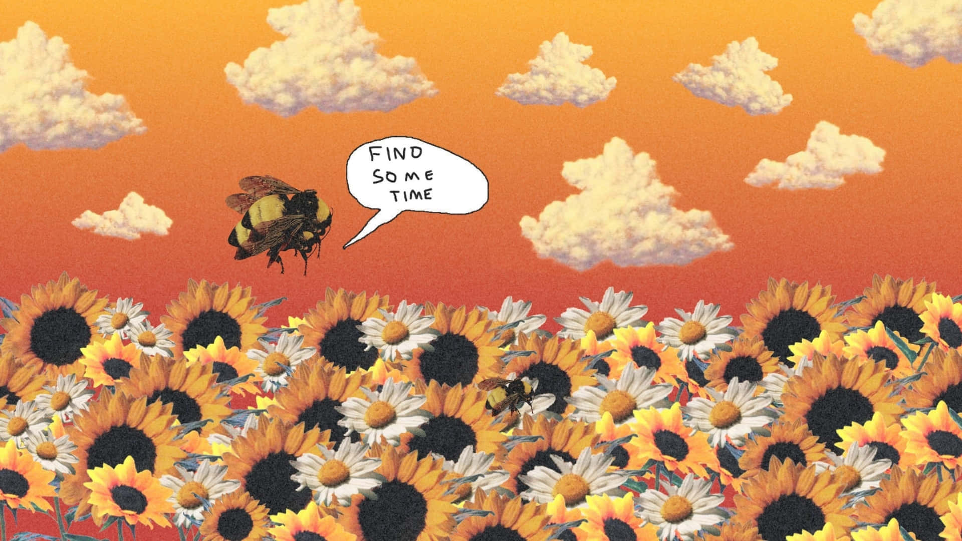  壁紙 — 一隻大黃蜂飛過一片向日葵和雛菊田，天空是溫暖的橙色，有蓬鬆的雲朵。
