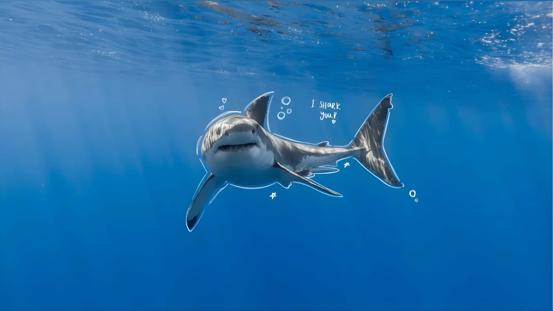 壁紙 — 卡通鯊魚喺清澈藍色海洋入面，帶住「I shark you!」文字同氣泡，頑皮咁微笑。