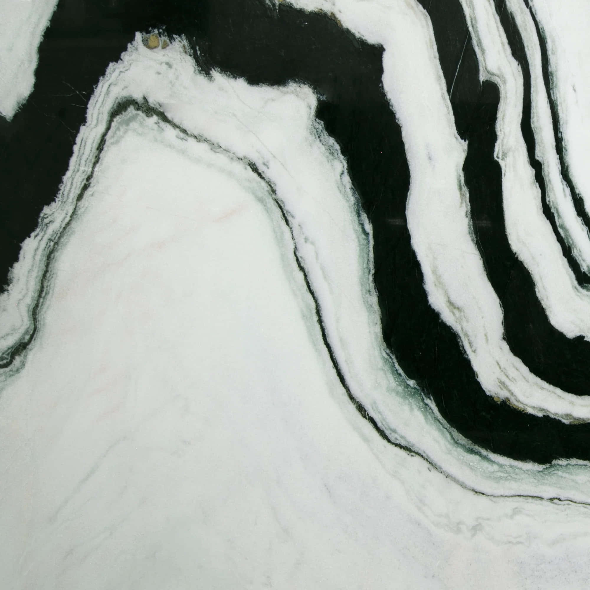 Black And White Marble 桌布 壁紙 — 黑白大理石近距離特寫，帶有漩渦狀有機圖案和細微的綠色紋理。