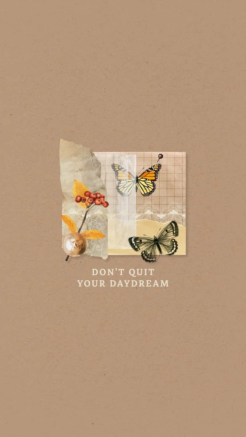 帶有蝴蝶、漿果和蕾絲的勵志拼貼，上面寫著 don't quit your daydream。 — 唯美蝴蝶動圖 壁紙
