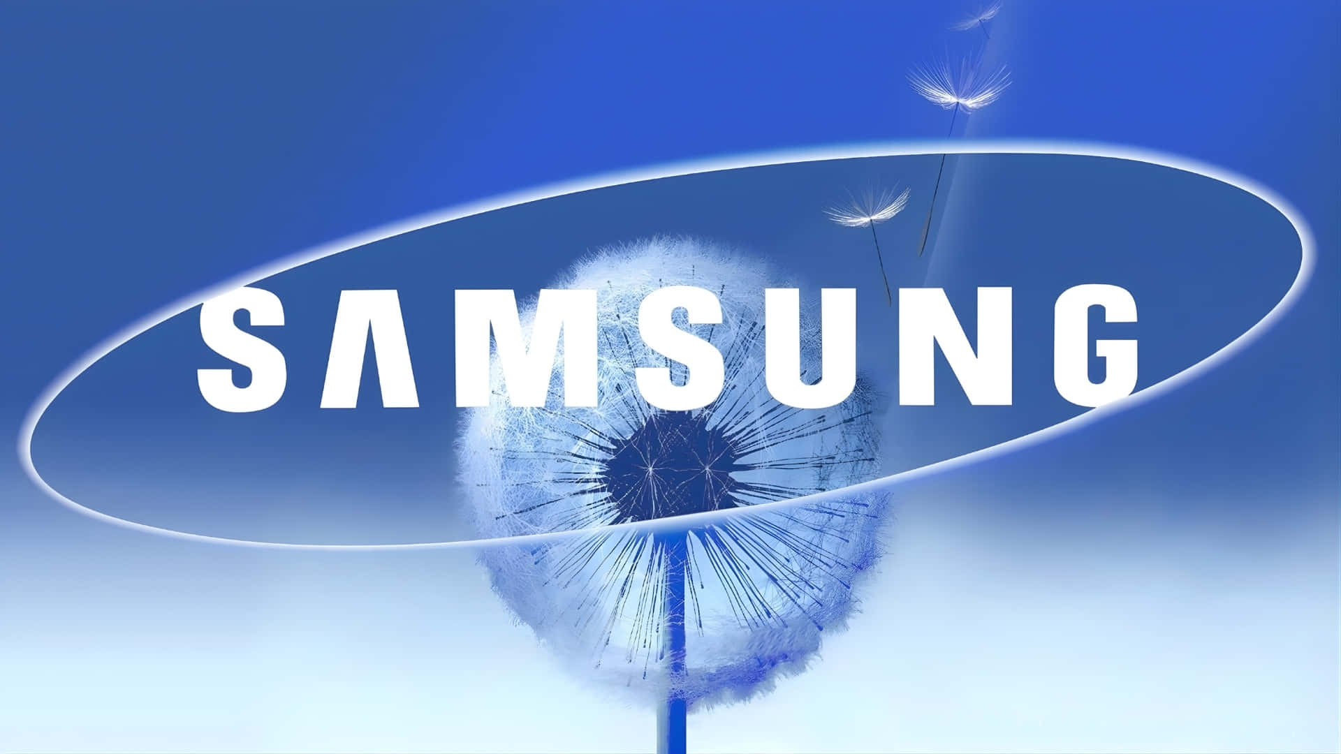  壁紙 — 一個蒲公英種子頭，帶有漂浮的種子，位於白色Samsung標誌後面，背景是漸變藍天。