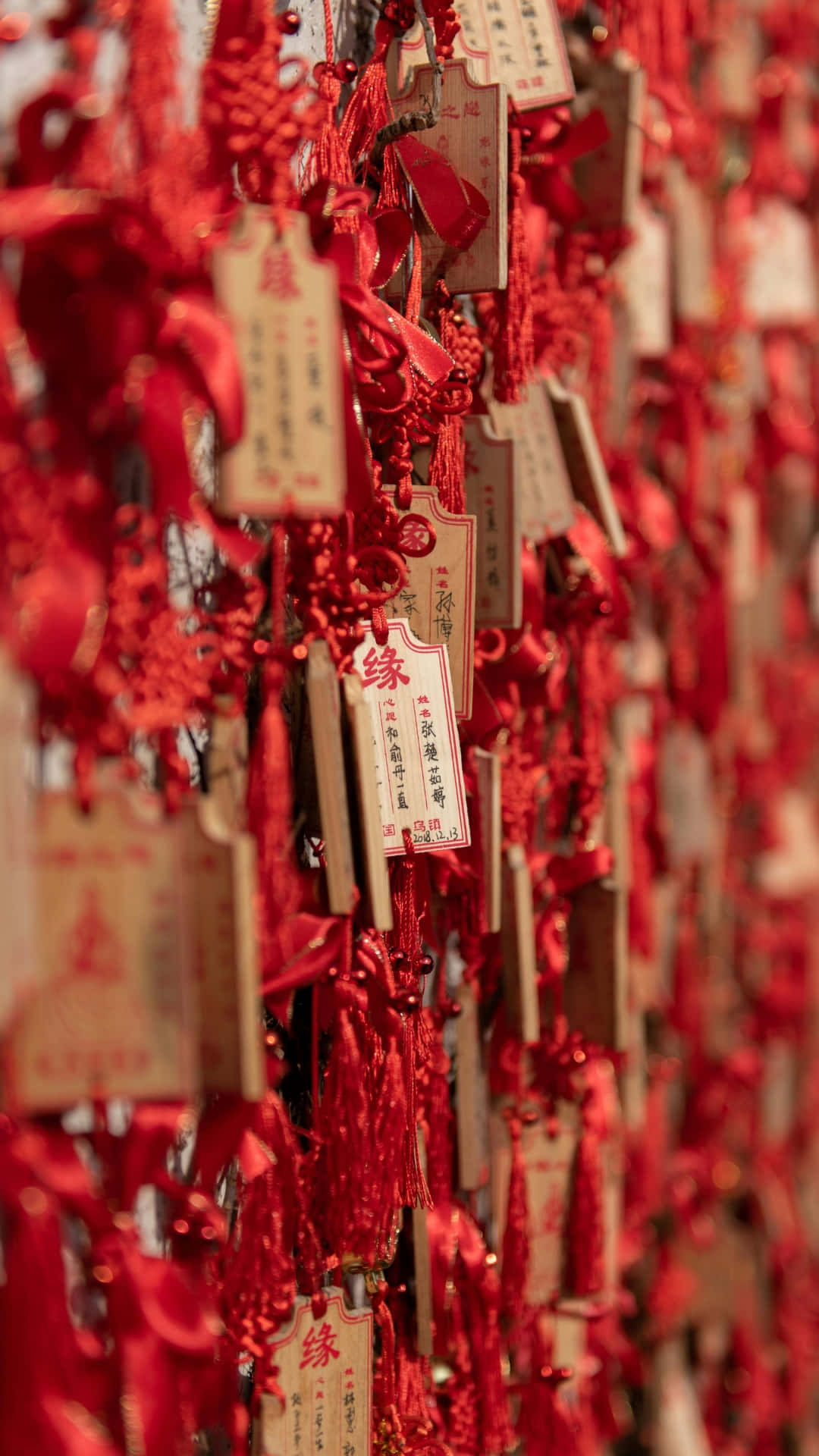  壁紙 — 一簇密集的鮮紅色中國許願絲帶和標籤以柔和焦點懸掛，營造出節日氣氛和充滿希望的氛圍。