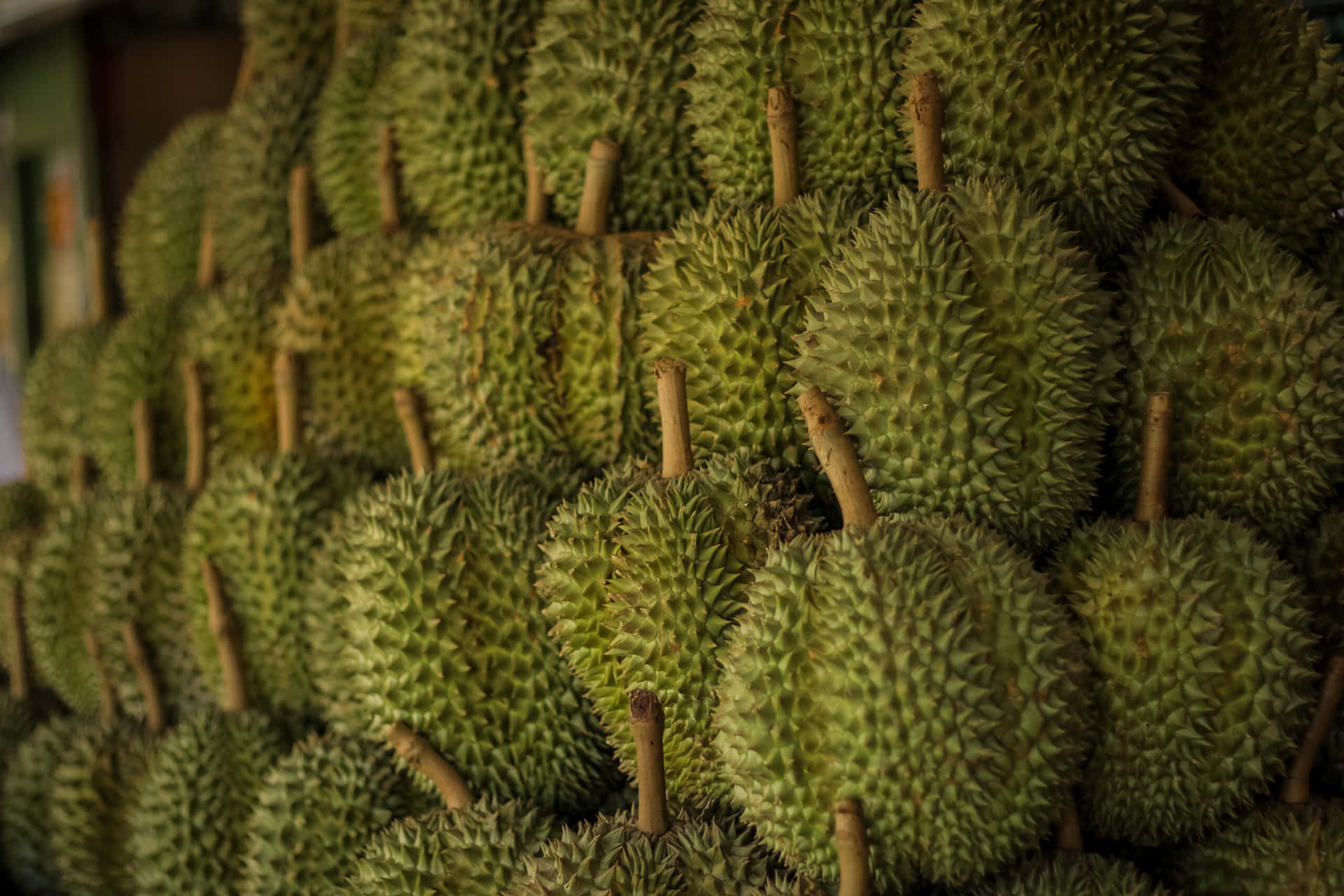  壁紙 — 一堆密集的綠色帶刺榴槤果實，堆疊在市場攤位上，在溫暖的燈光下。