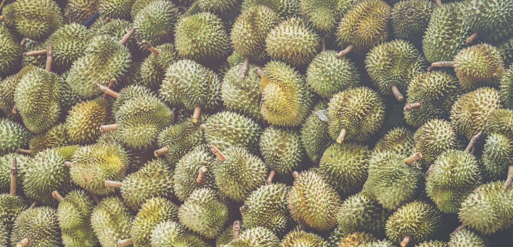 壁紙 — 一堆密集嘅綠色帶刺榴槤果實，有啲外殼變黃同啡色莖。