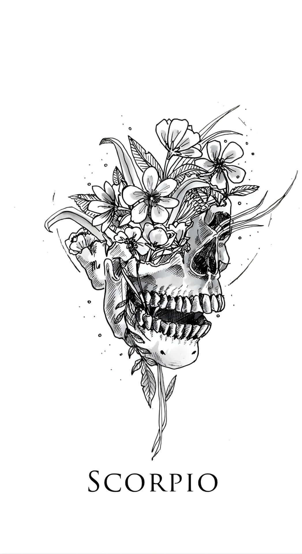  壁紙 — 一個詳細的黑白插圖，描繪了一個裝飾著盛開花朵和葉子的頭骨，下方標有「SCORPIO」。