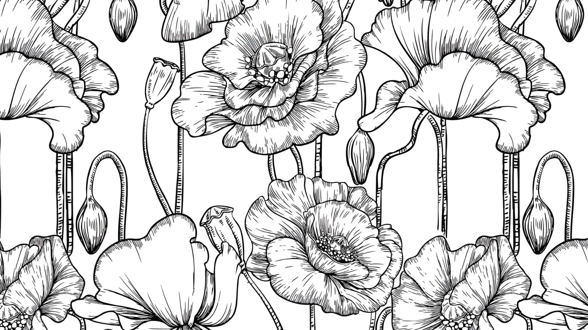  壁紙 — 一幅詳細的黑白線條畫，描繪了罌粟花和花蕾的重複圖案，帶有複雜的陰影。