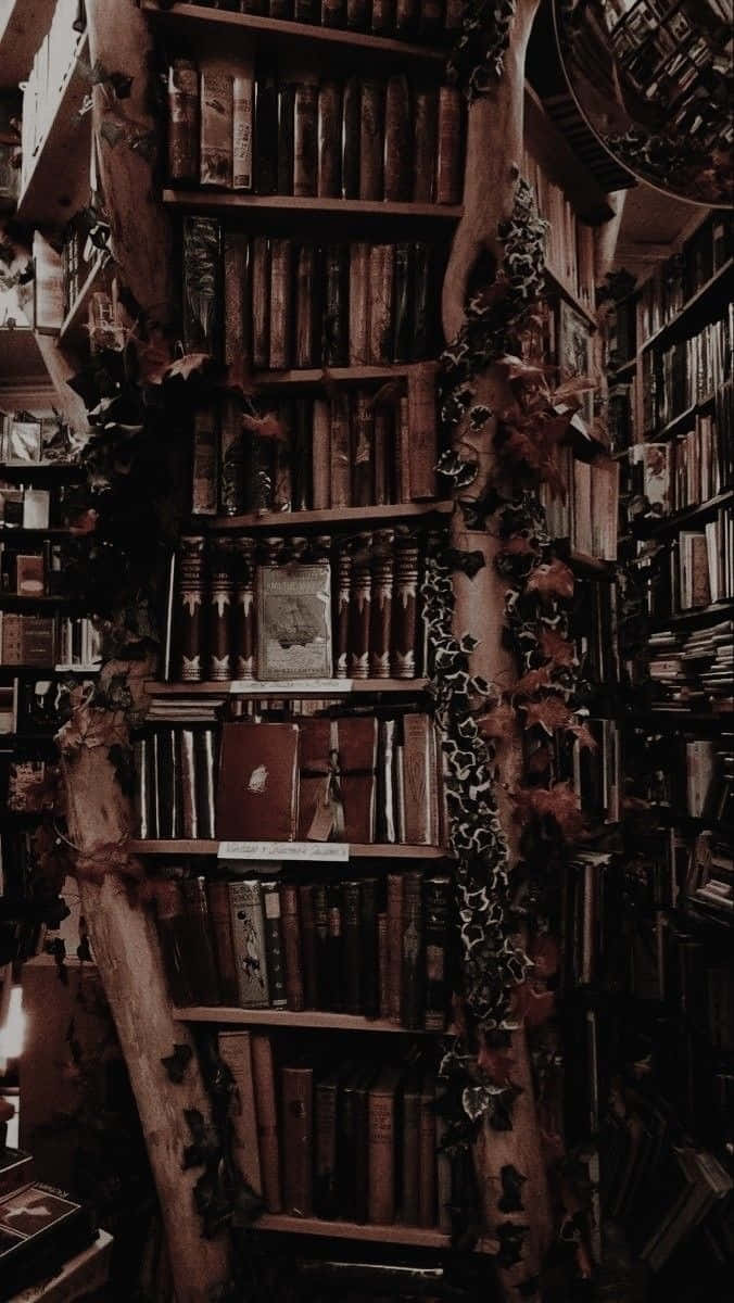  壁紙 — 燈光昏暗的圖書館，高聳的書架上掛滿了常春藤和苔蘚，營造出神秘的氛圍。