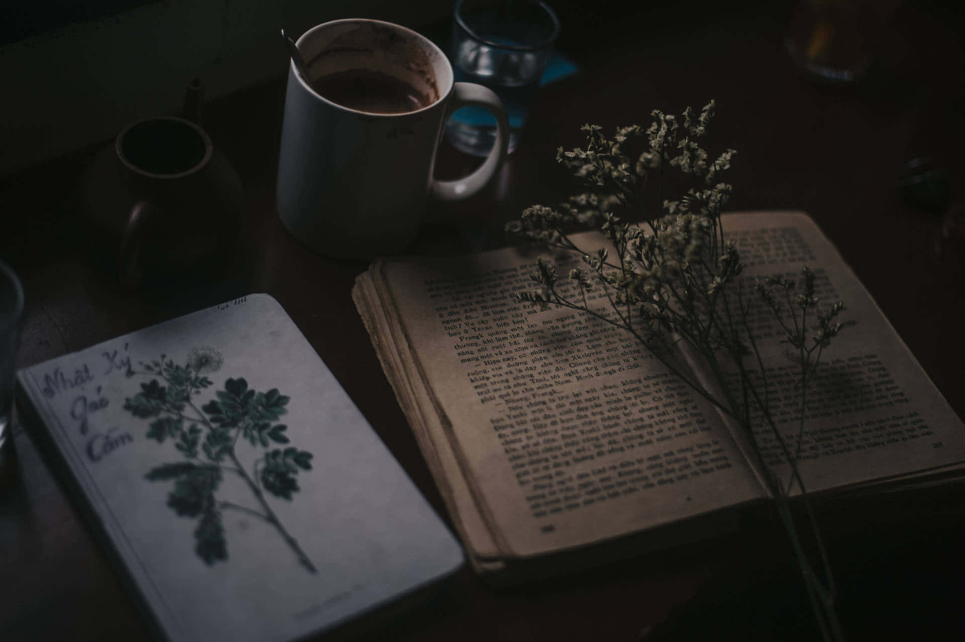 Dark Book Aesthetic 桌布 壁紙 — 一張光線昏暗的木桌上放著一本打開的書、乾花、一個咖啡杯和一本帶有植物插圖的筆記本。
