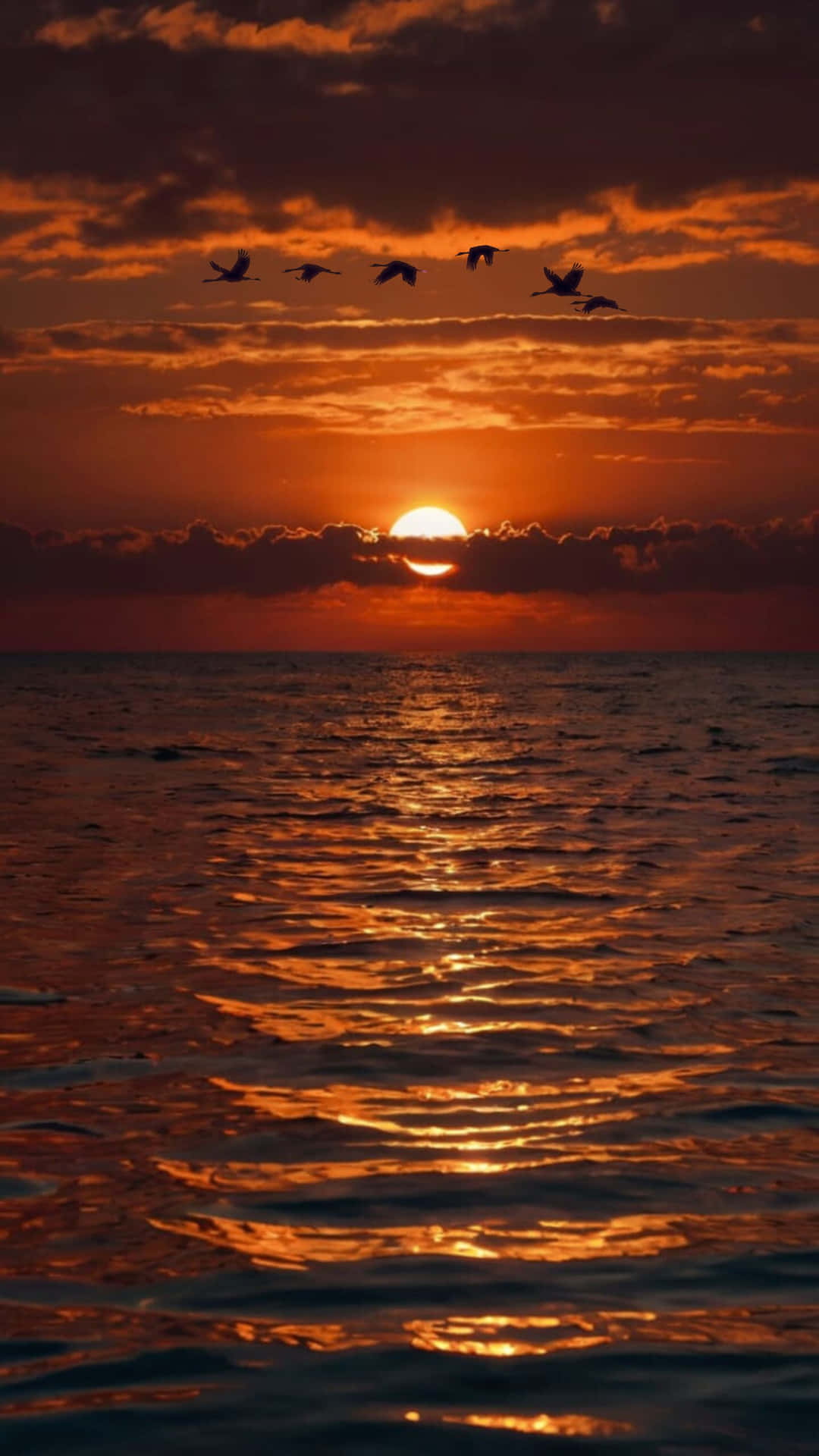 金色夕陽灑落海洋，飛鳥掠過水面，天際線剪影倒影 壁紙 — 熾熱的夕陽在海面上閃耀，六隻鳥兒排成隊形飛過充滿活力的橙色天空。