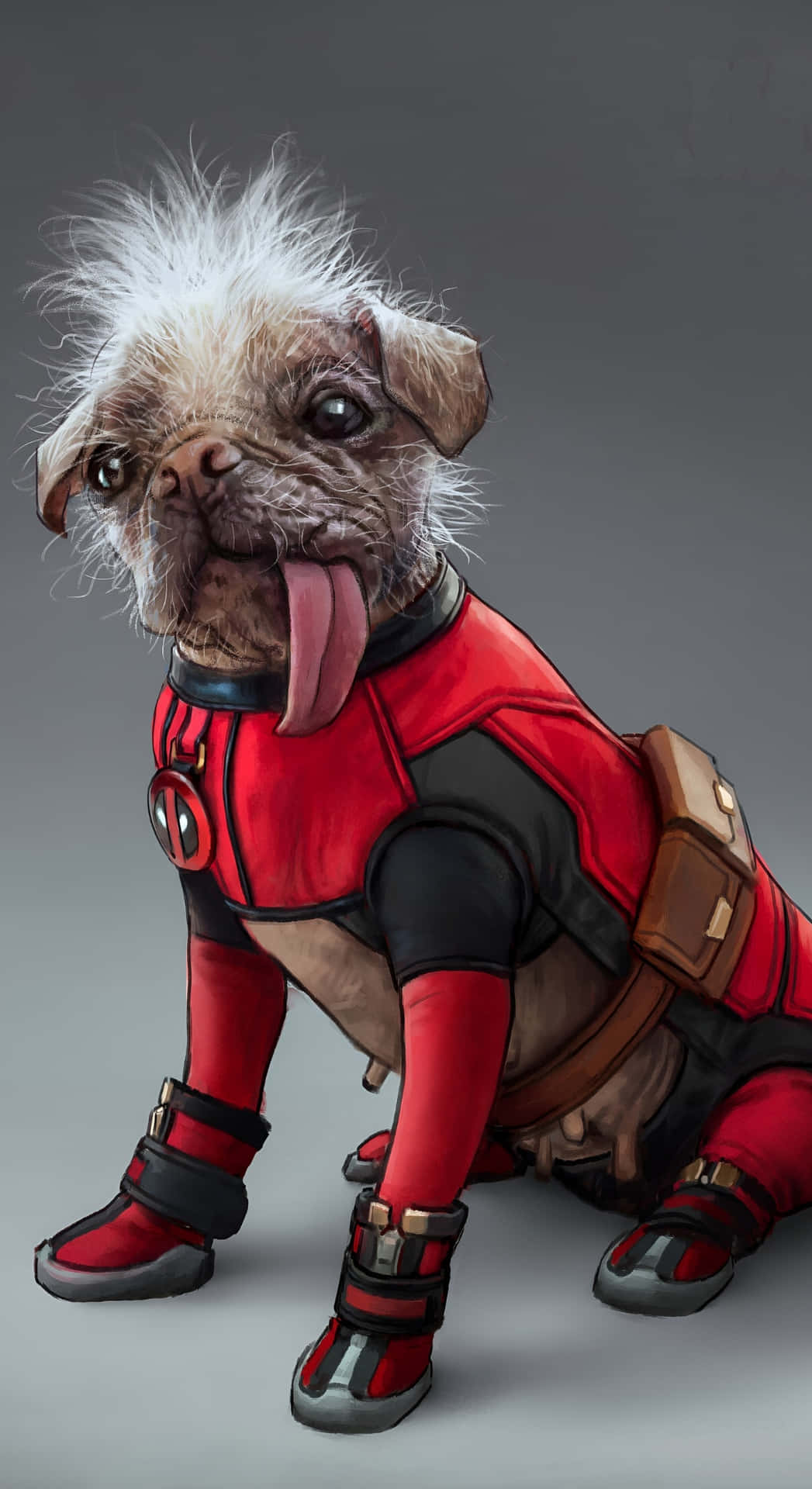  壁紙 — 一隻毛茸茸的八哥犬穿著紅黑死侍服，在純灰色背景前伸出舌頭坐著。