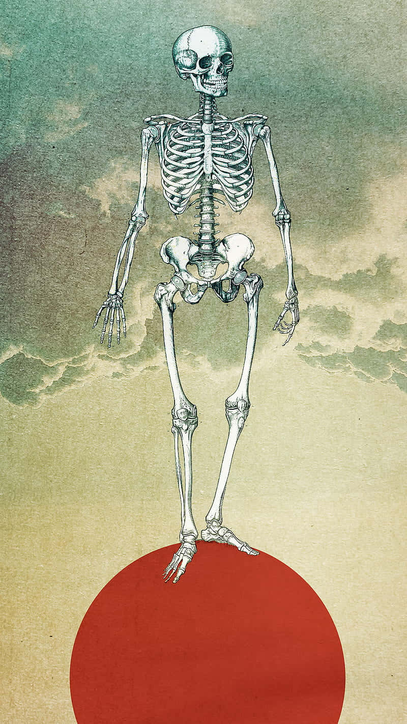  壁紙 — 一個完整的人體骨骼直立在一個大膽的紅色圓圈上，背景是紋理豐富的多雲天空。