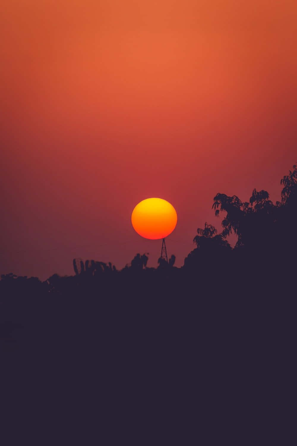 Sunset Photography 桌布 壁紙 — 巨大的橙色太陽在剪影樹木和塔樓後面落下，背景是漸變的紅色天空。