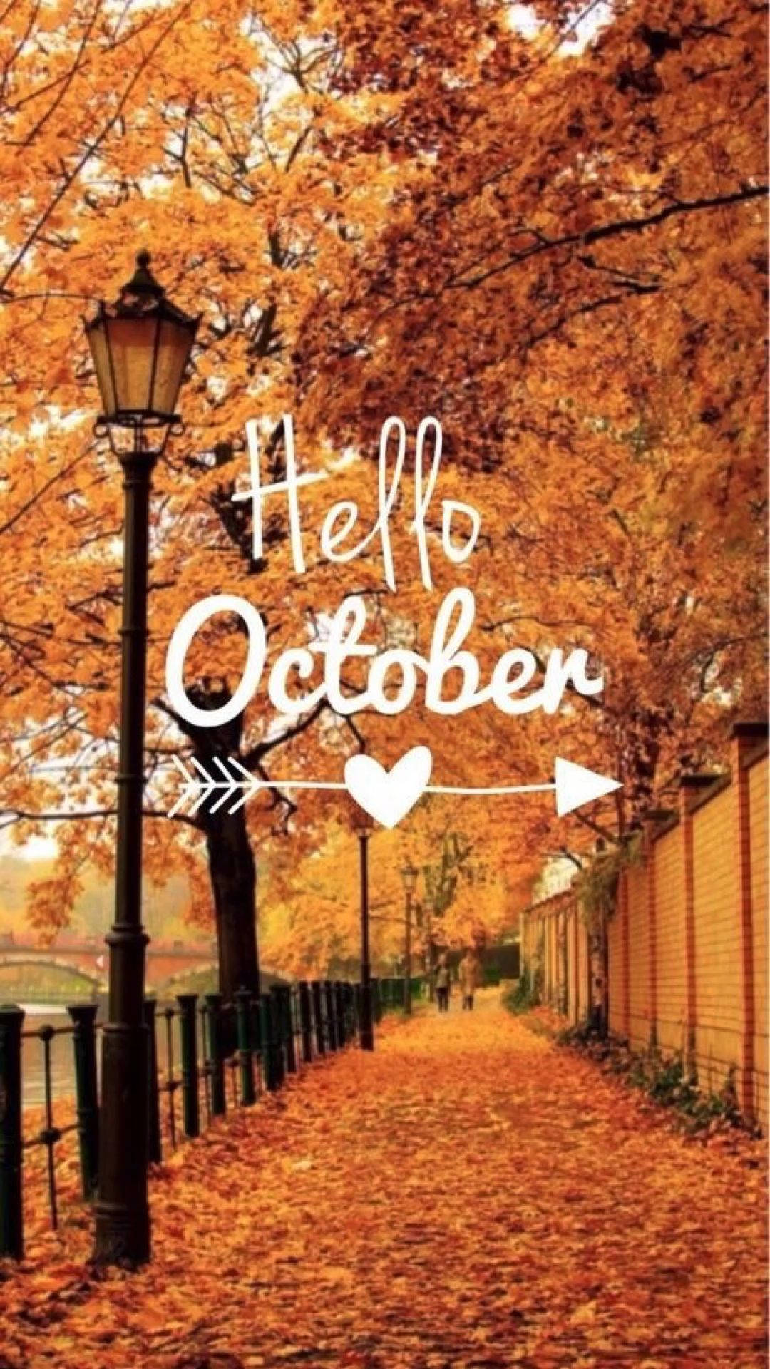 秋季步道鋪滿落葉，帶有「Hello October」文字和心形箭頭。