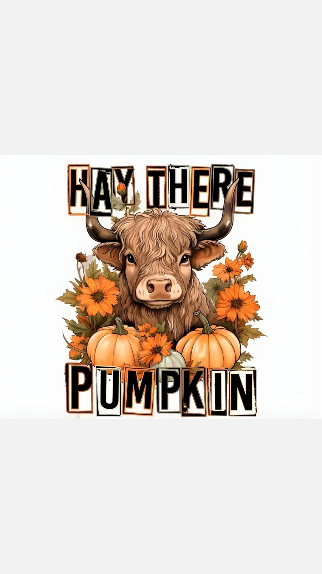  壁紙 — 一頭高地牛被南瓜和橙色花朵包圍，並帶有粗體大字 'HAY THERE PUMPKIN' 的文字。