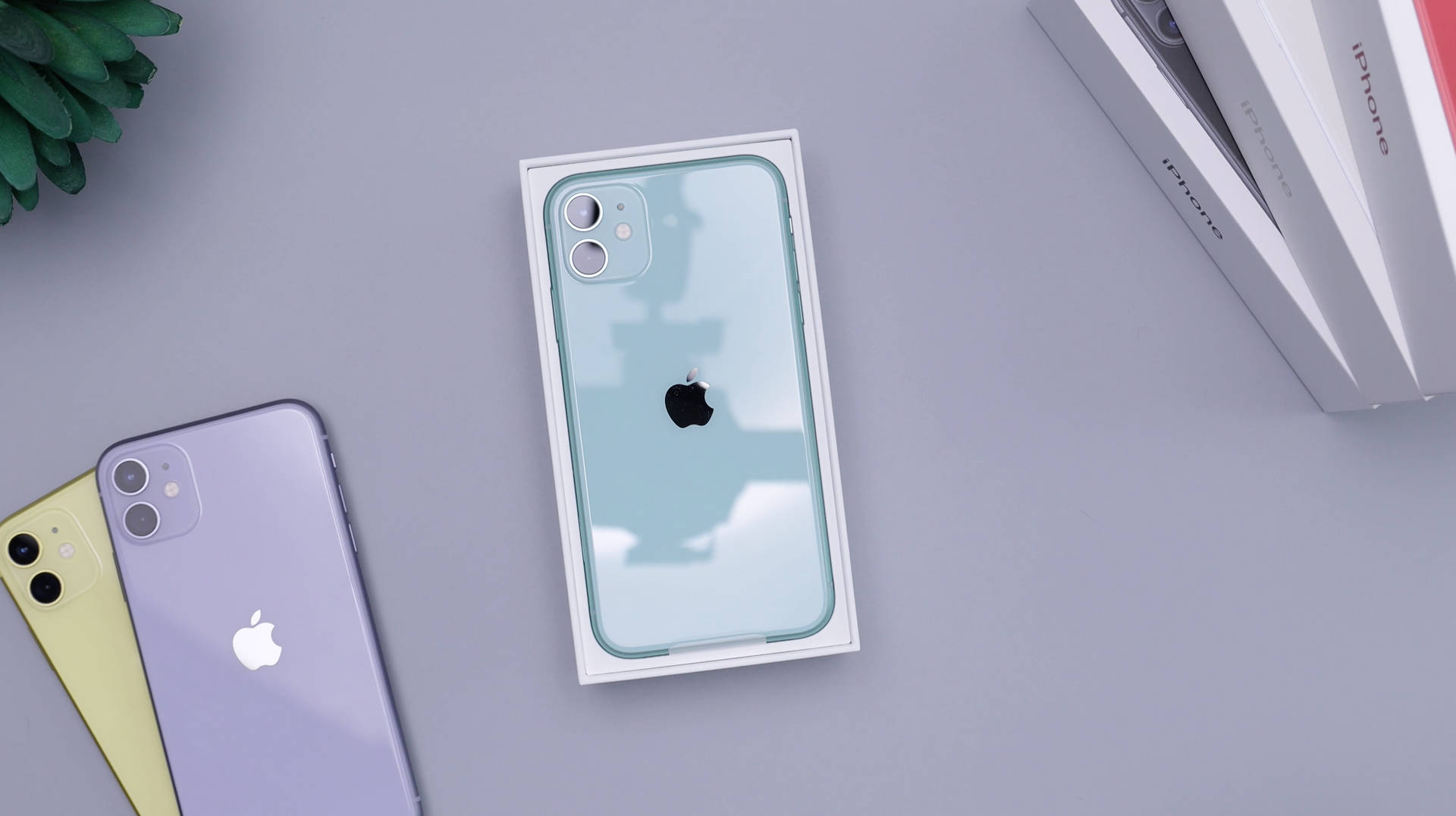 灰色桌上兩部iPhone及一部連盒iPhone，配綠色植物