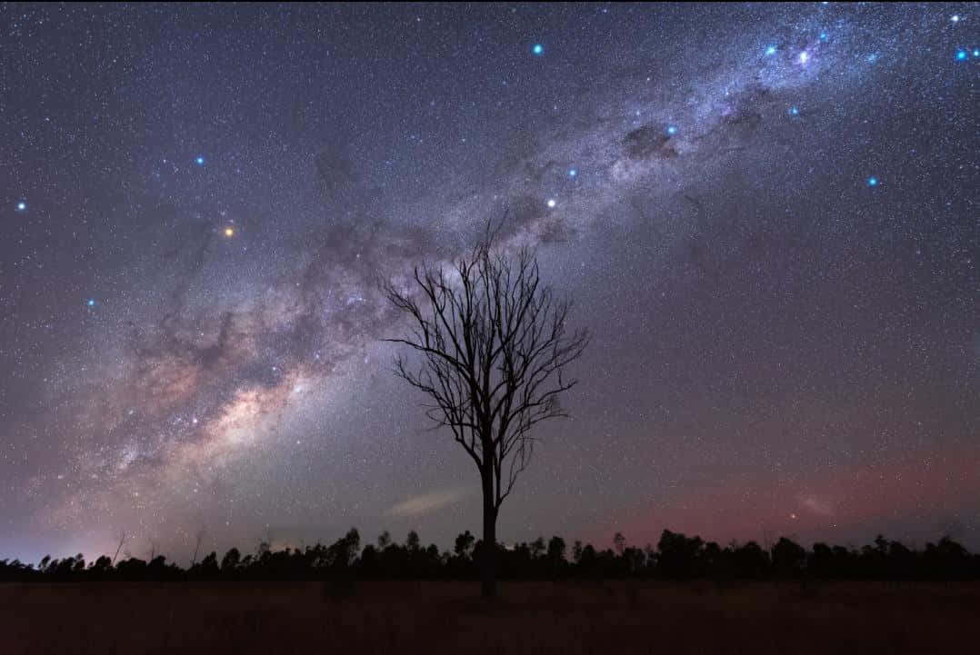  壁紙 — 一棵孤獨的禿樹在充滿活力的星空夜空下剪影，銀河拱橋在上方。