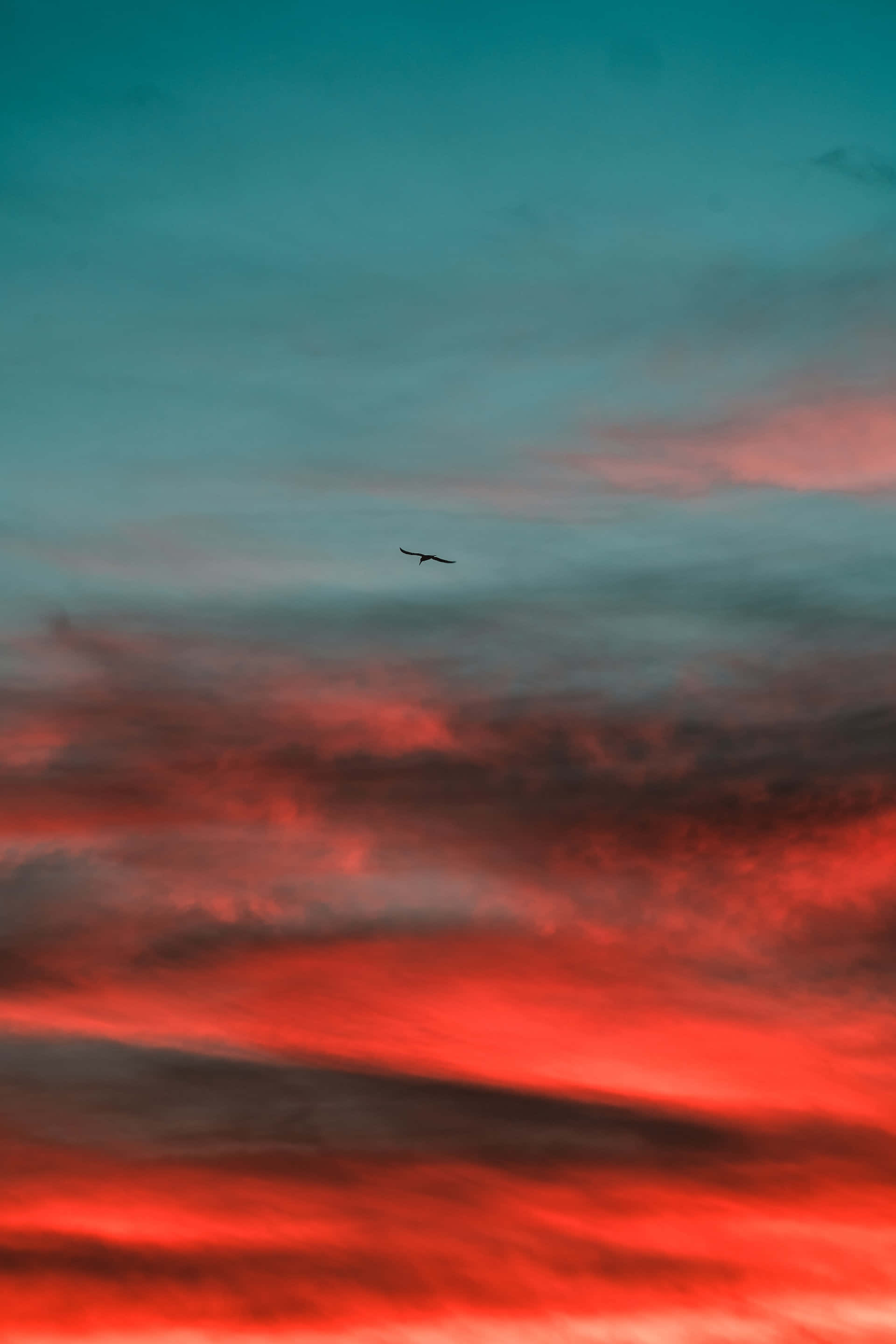 Colorful Sunset 桌布 壁紙 — 一隻孤鳥在黃昏時分翱翔於戲劇性的天空，天空被火紅的雲彩和清涼的藍綠色調渲染。