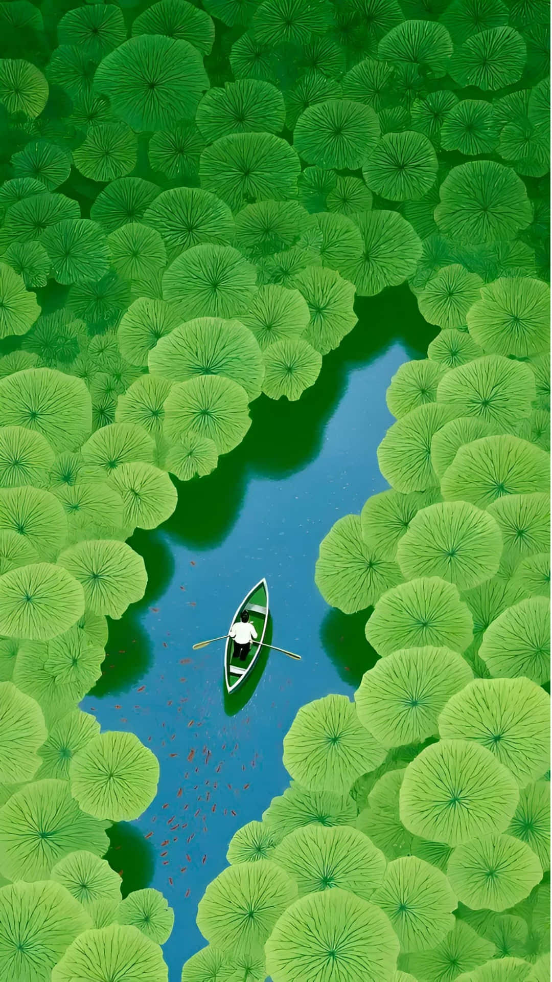  壁紙 — 一艘孤獨的划艇在寧靜的藍色池塘上滑過充滿活力的綠色睡蓮葉迷宮。