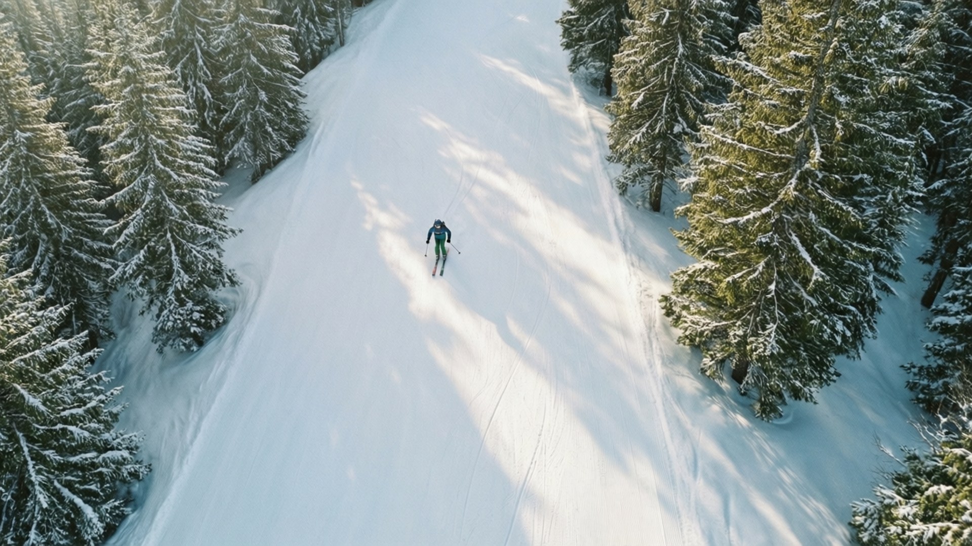 ski 桌布 壁紙 — 一位孤獨的滑雪者在寧靜的冬季森林中，沿著陽光普照、兩旁長滿茂密常綠樹木的雪坡滑下。