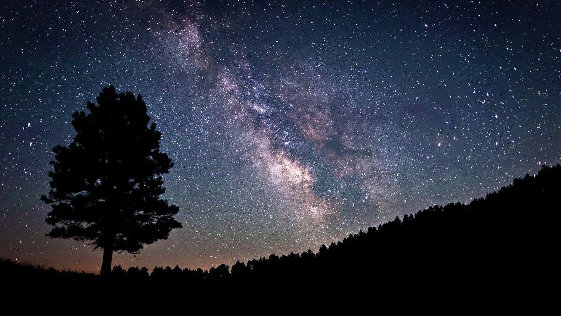 一棵孤樹映襯著滿天星斗的夜空，銀河清晰可見。