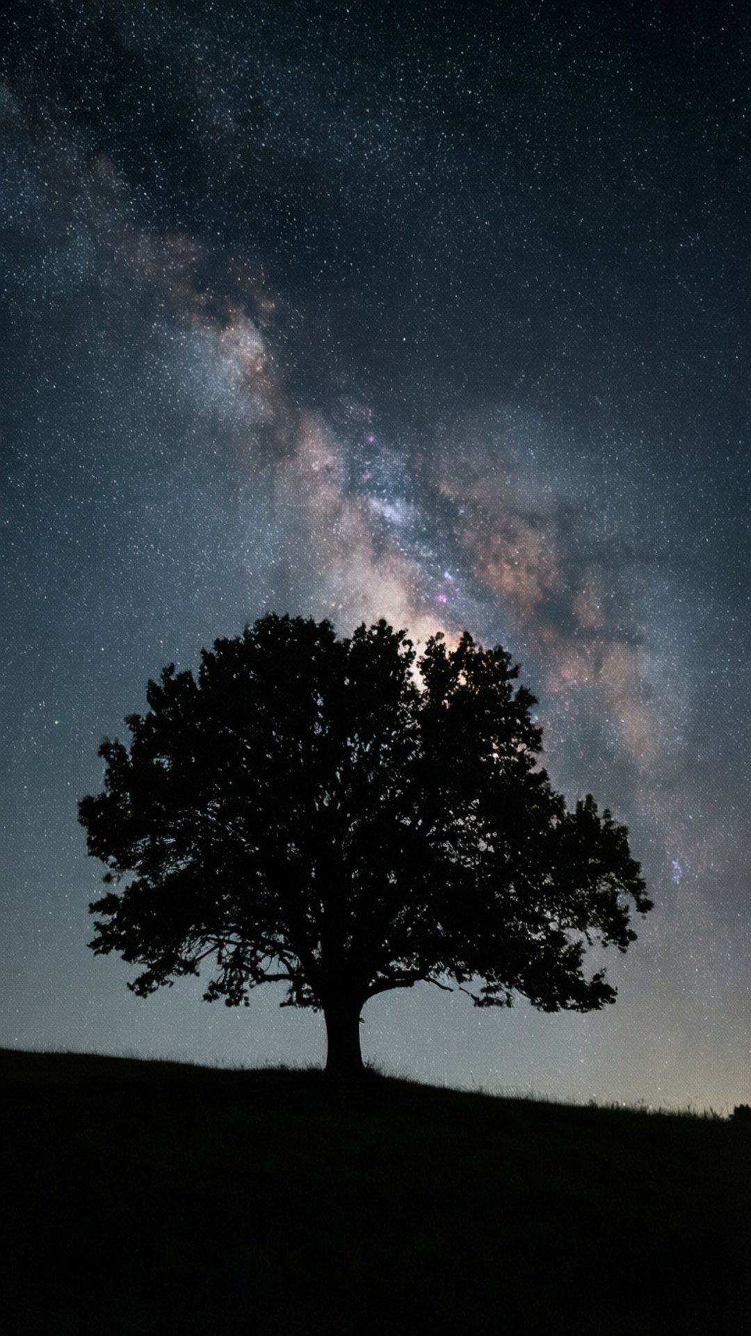 樹木剪影襯托著可見銀河的星空夜空。