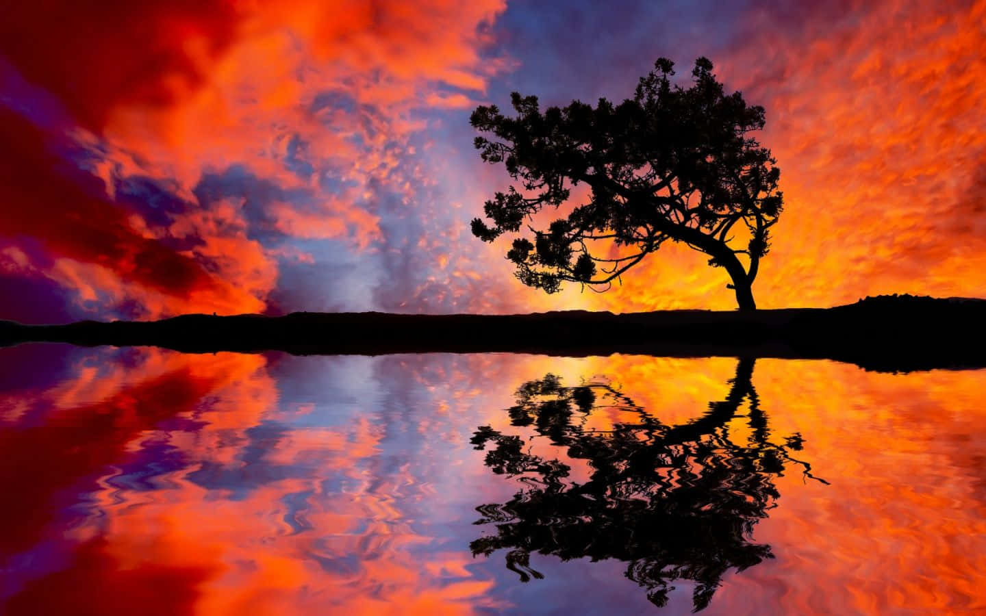 Colorful Sunset 桌布 壁紙 — 一棵孤樹的剪影映襯著火紅的日落天空，倒映在平靜的水面上。