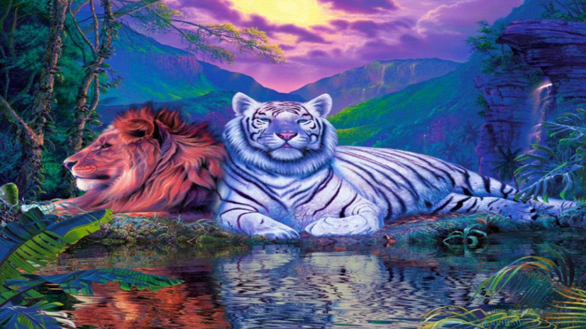 日落時分，一頭獅子和一隻白虎在叢林中一起休息。