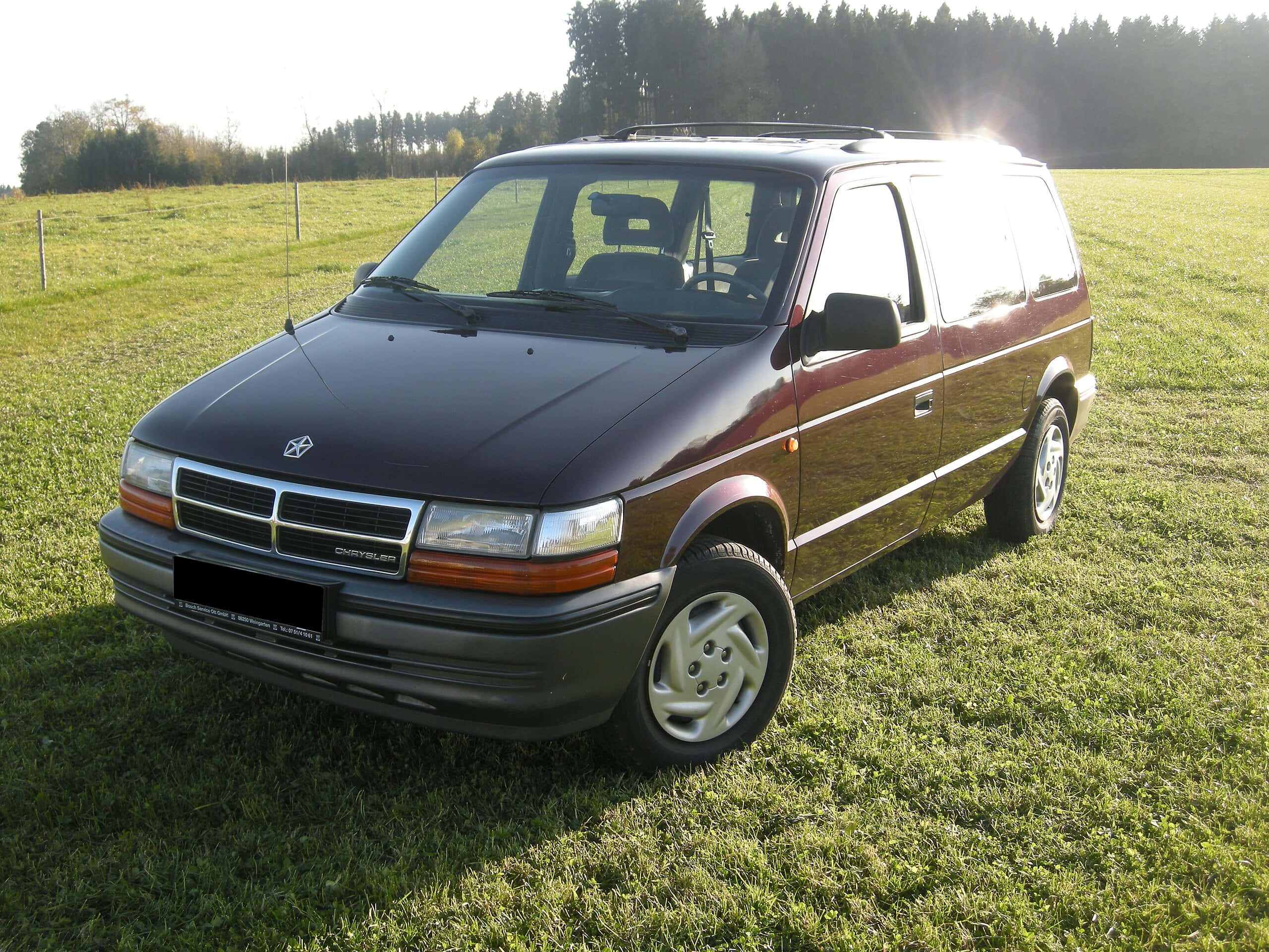 Chrysler Voyager 桌布 壁紙 — 一輛栗色Dodge Caravan小型貨車停泊在陽光明媚的草地上，背景有樹木。