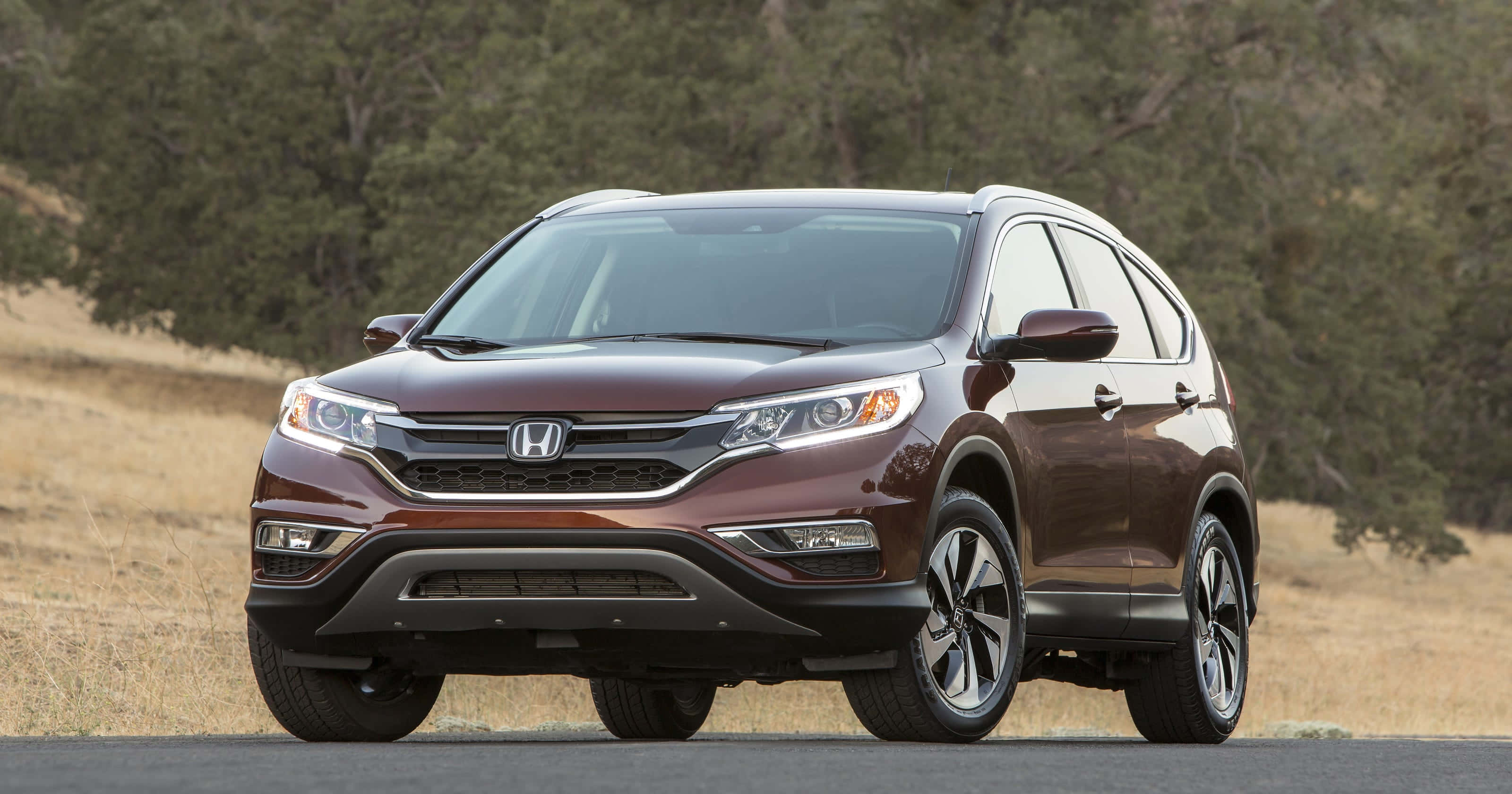 Honda Passport 桌布 壁紙 — 一架栗色本田 CR-V SUV 停泊在瀝青路上，背景有乾草和樹木。
