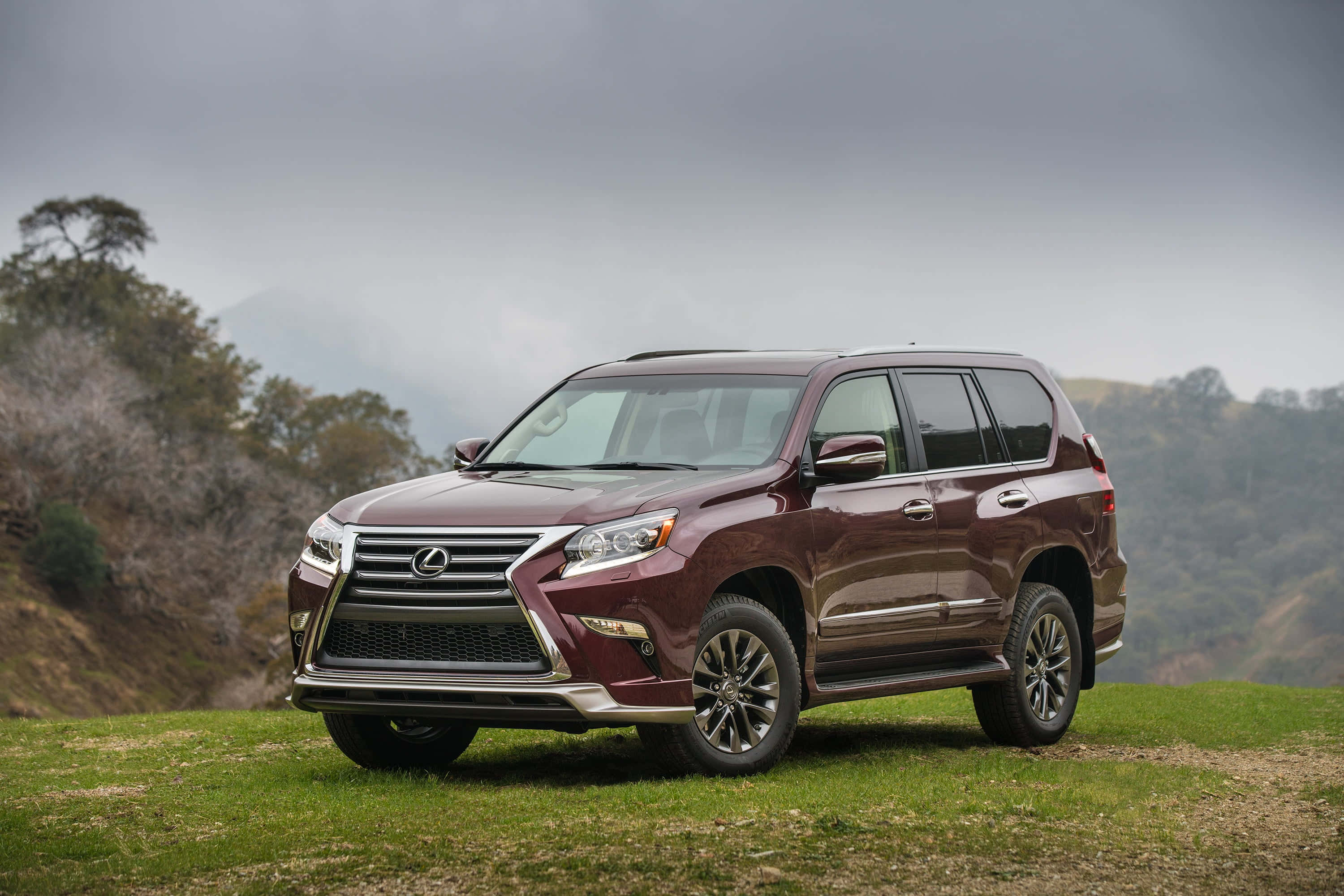 Lexus Gx 460 桌布 壁紙 — 一架栗色Lexus GX SUV停泊在草坡上，背景有朦朧山脈和陰天。