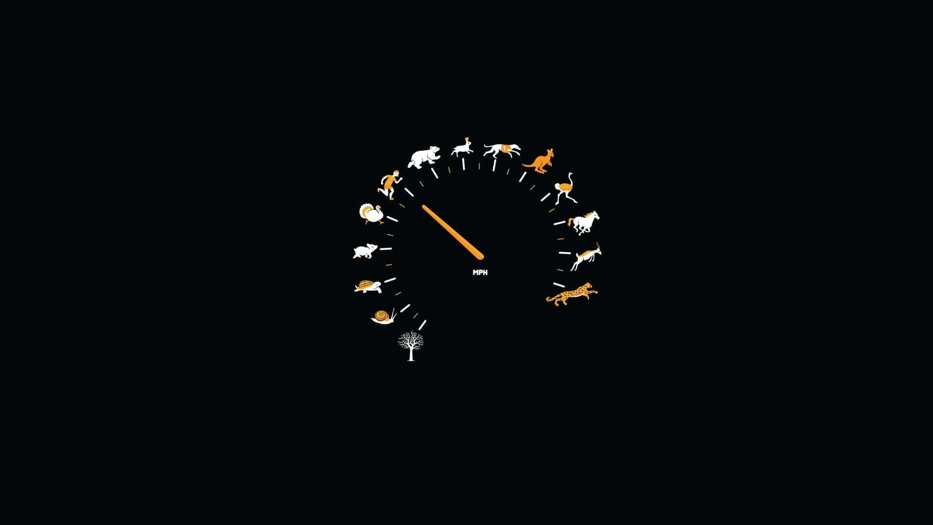 Minimalist Animal 桌布 壁紙 — 一個極簡風格的車速錶，帶有動物圖標和一棵樹，背景為黑色。