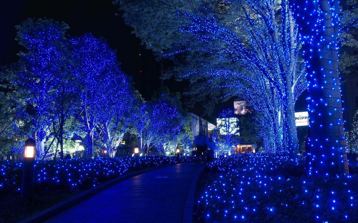 藍色燈光裝飾著夜間步道旁的樹木和灌木叢。