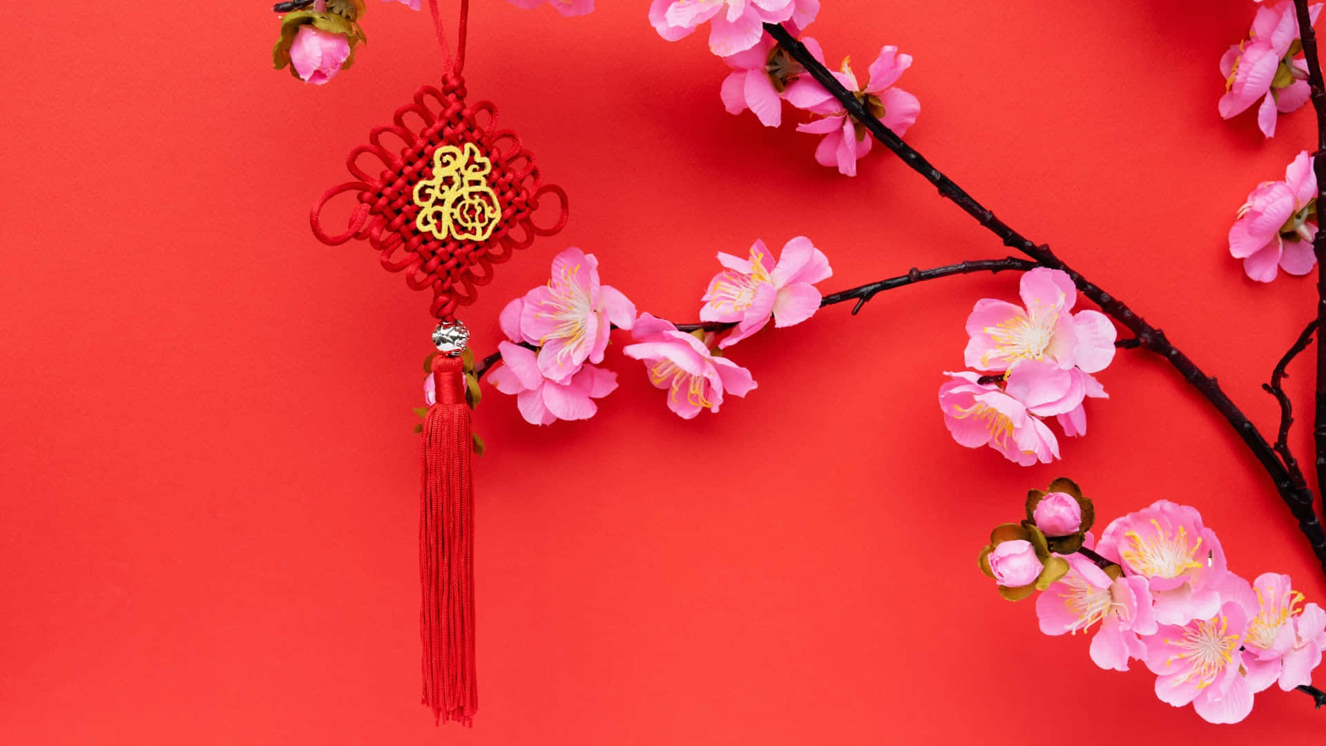  壁紙 — 一個帶有金色「福」字的紅色中國結掛在粉紅色櫻花旁邊，背景是鮮豔的紅色。