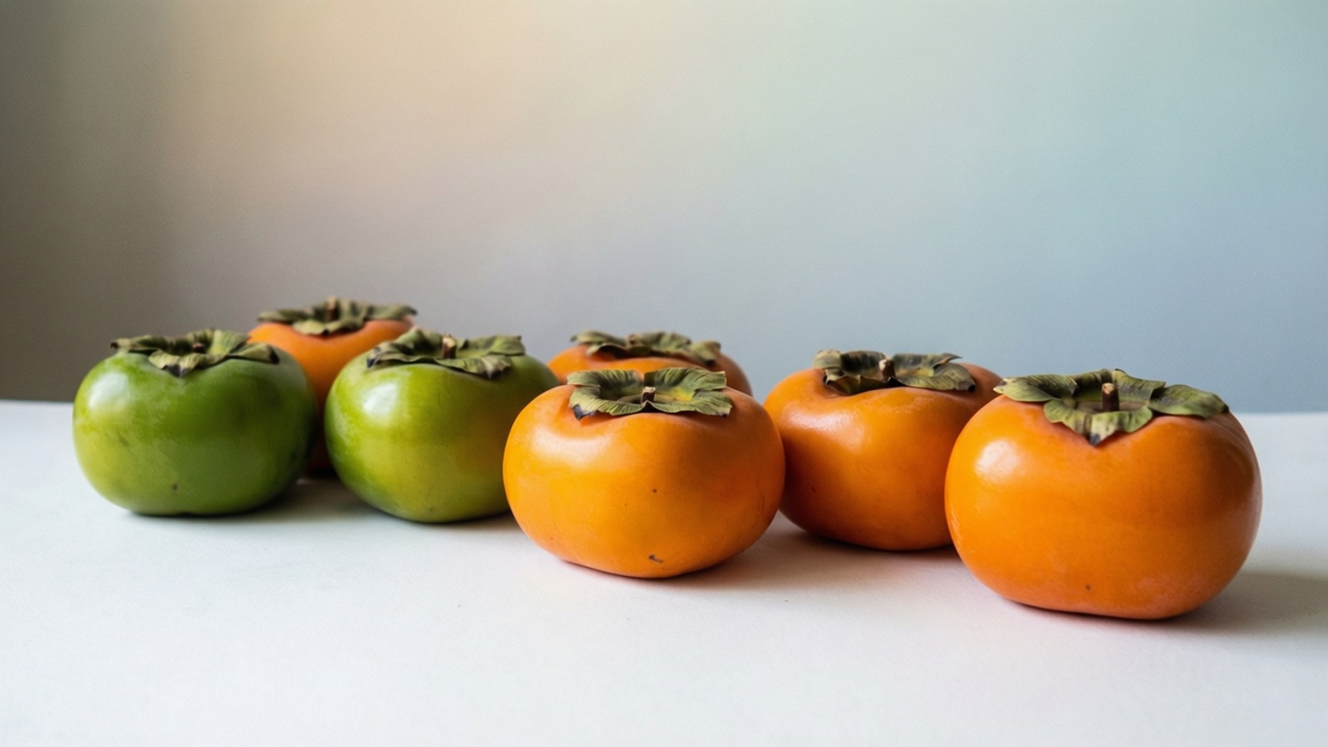 Persimmon Color Gradient 壁紙 — 一排成熟程度由綠色到橙色的柿子，放在白色表面上，背景係柔和嘅漸變色。