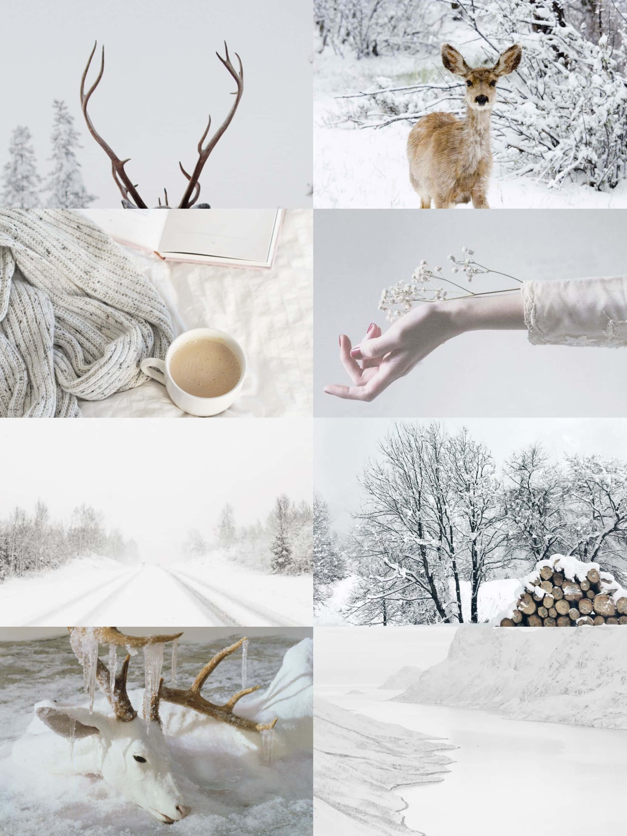 January Aesthetic 桌布 壁紙 — 一幅寧靜的冬日拼貼畫， featuring 被雪覆蓋的鹿角、雪林中的小鹿、手持乾花的手、舒適的針織毛毯和咖啡、冰凍的鹿頭，以及積雪覆蓋的森林小徑。